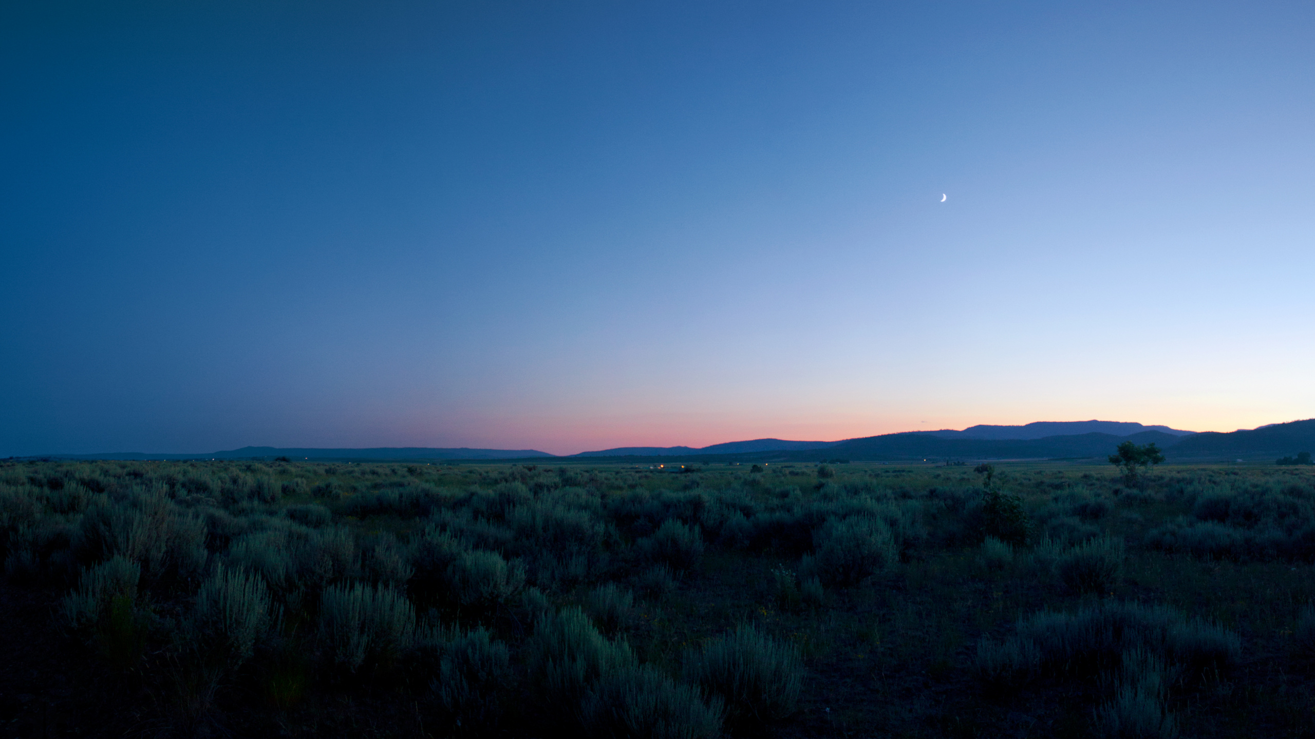 Обои сенокосное угодье, атмосфера, облако, растение, природный ландшафт в разрешении 2560x1440