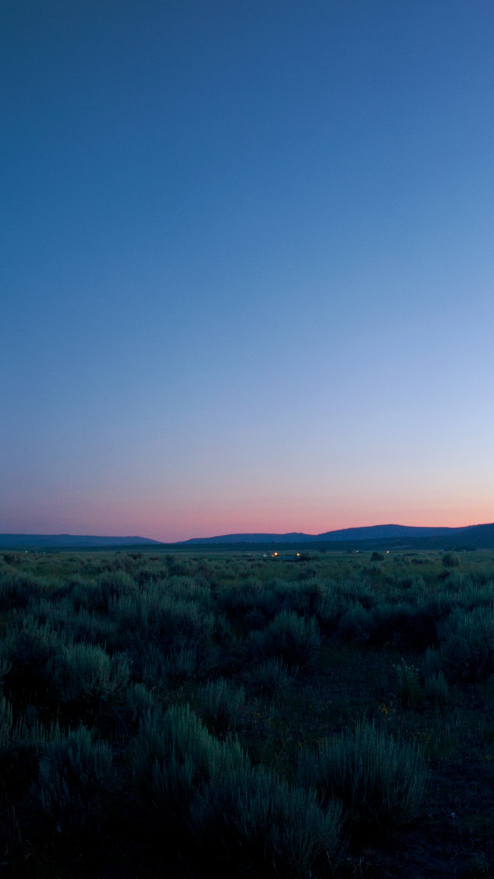 Обои сенокосное угодье, атмосфера, облако, растение, природный ландшафт в разрешении 720x1280