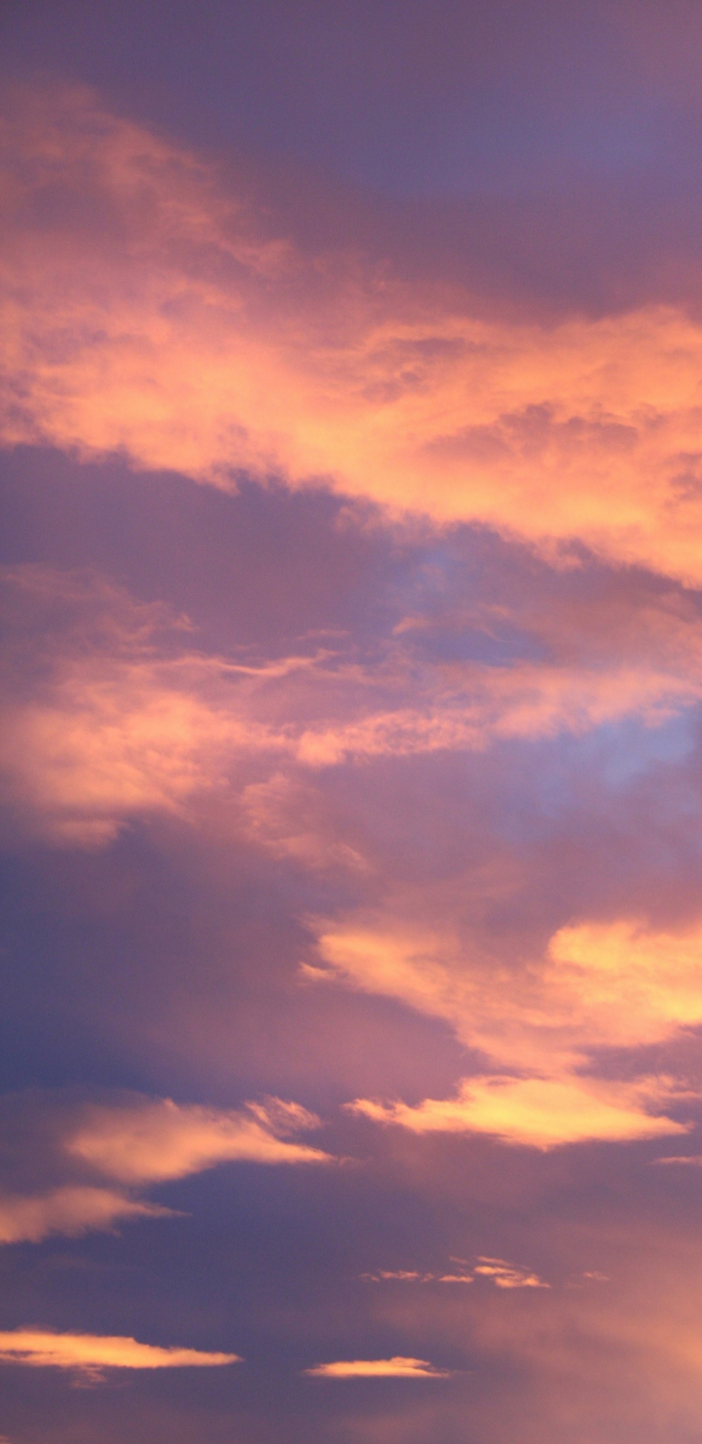 Обои небо, золотой час, послесвечение, атмосфера, вечер в разрешении 1440x2960