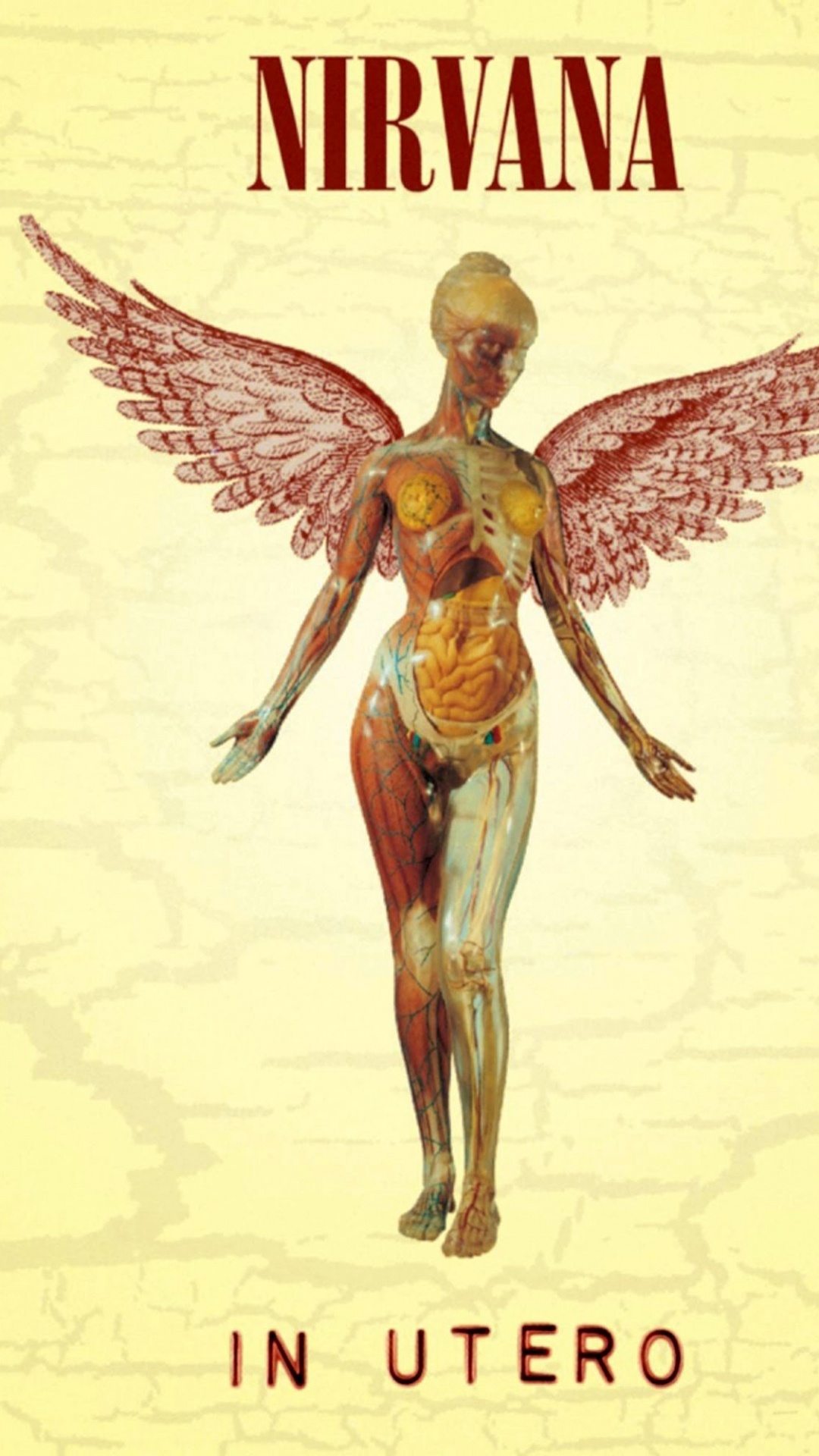 Обои нирвана, Альбом, ангел, мифология, сверхъестественное существо в разрешении 1080x1920