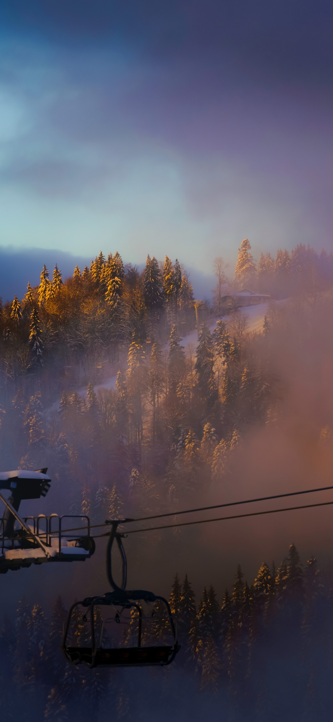 Обои облако, атмосфера, дневное время, растение, послесвечение в разрешении 1125x2436