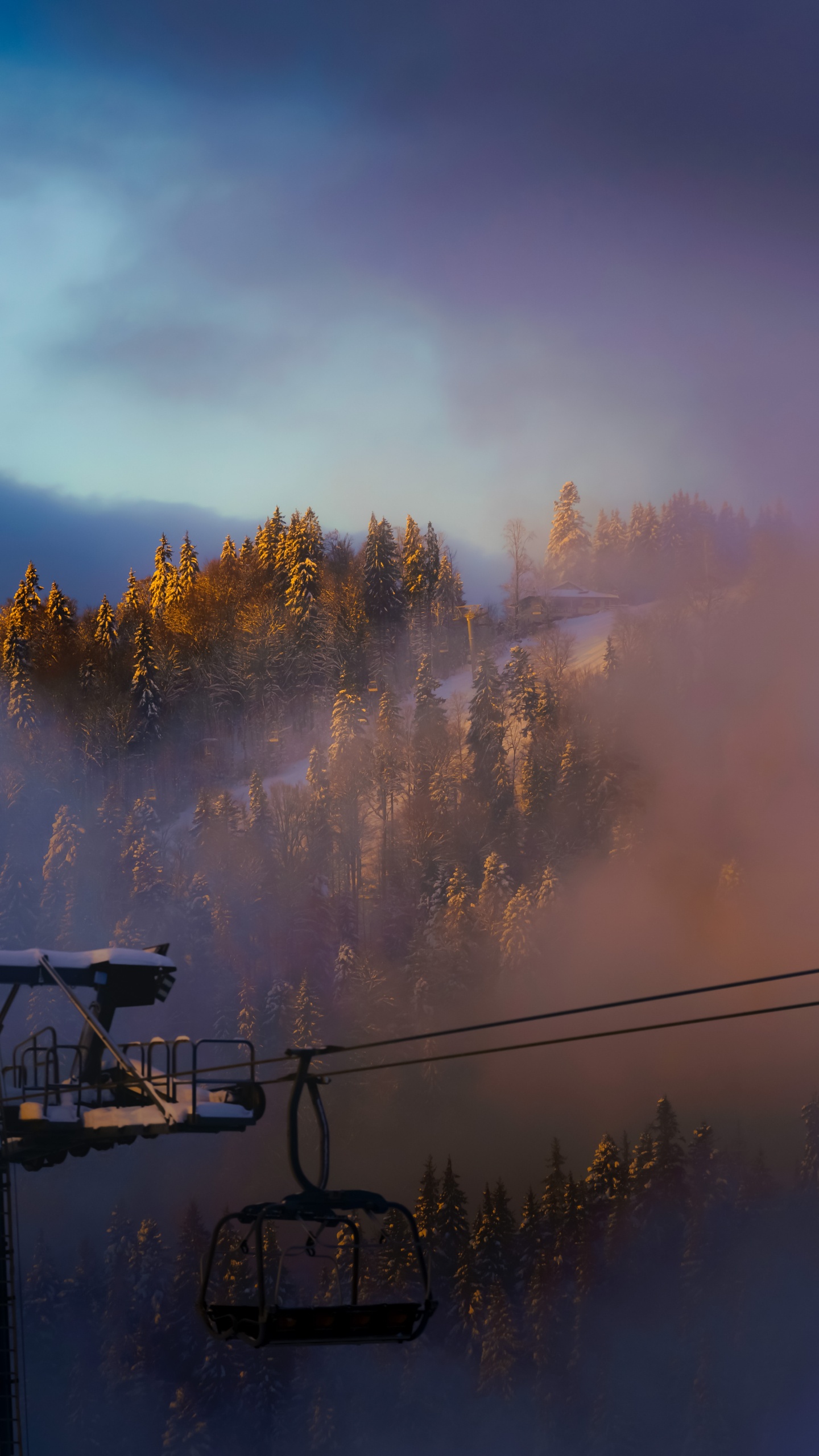 Обои облако, атмосфера, дневное время, растение, послесвечение в разрешении 1440x2560