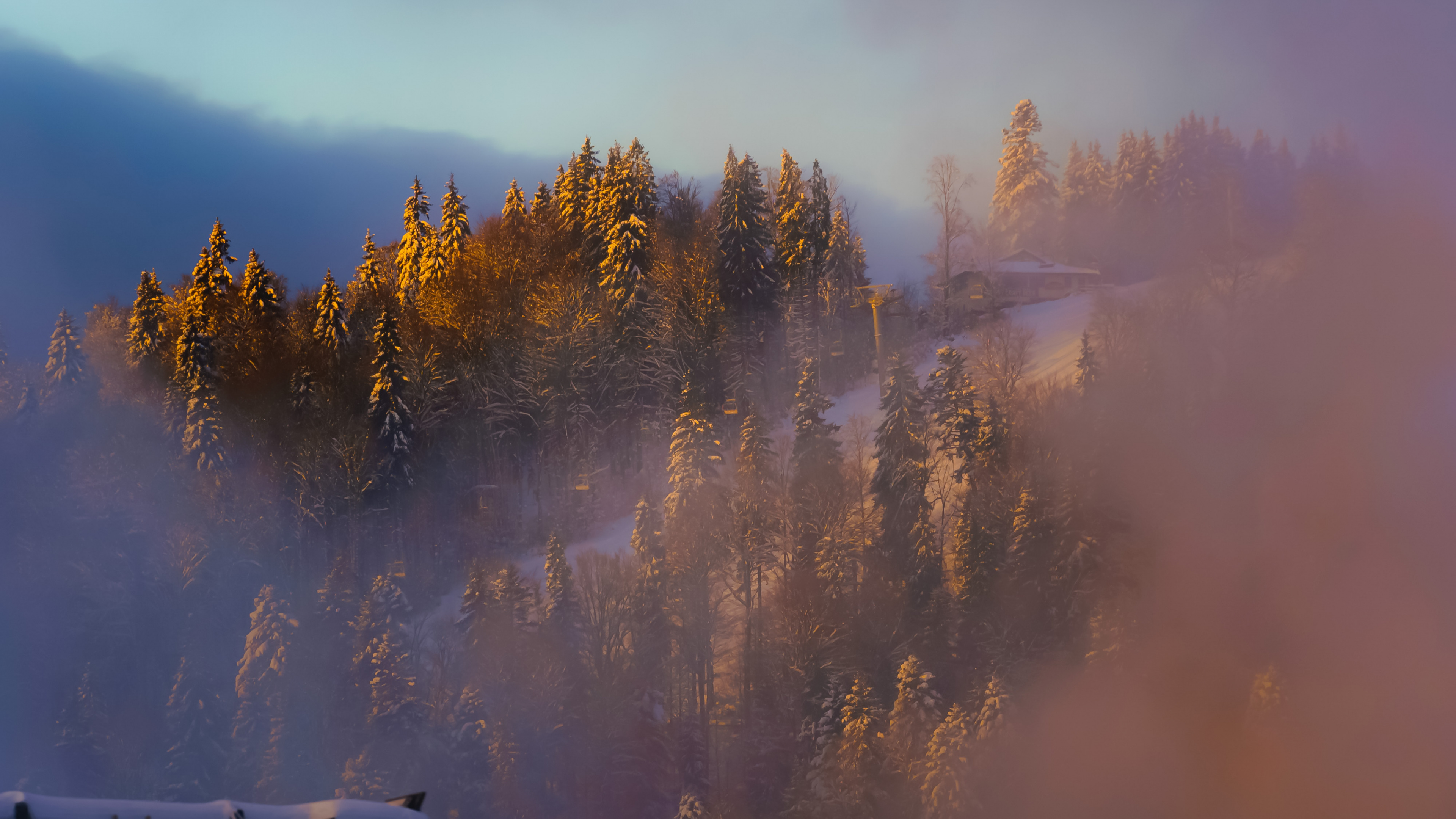 Обои облако, атмосфера, дневное время, растение, послесвечение в разрешении 3840x2160