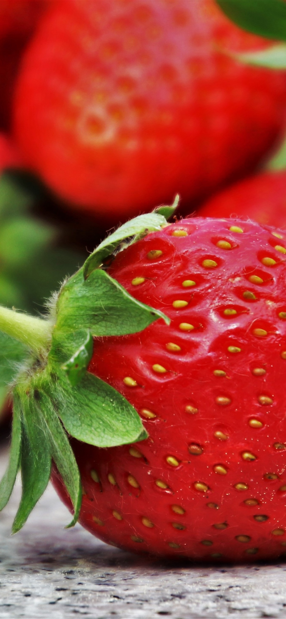 Обои клубника, еда, фрукты, природные продукты, ягоды в разрешении 1125x2436