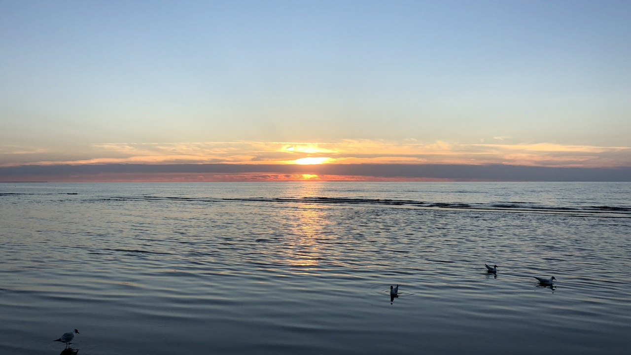 Обои горизонт, вода, восход солнца, водоем, жидкость в разрешении 1280x720