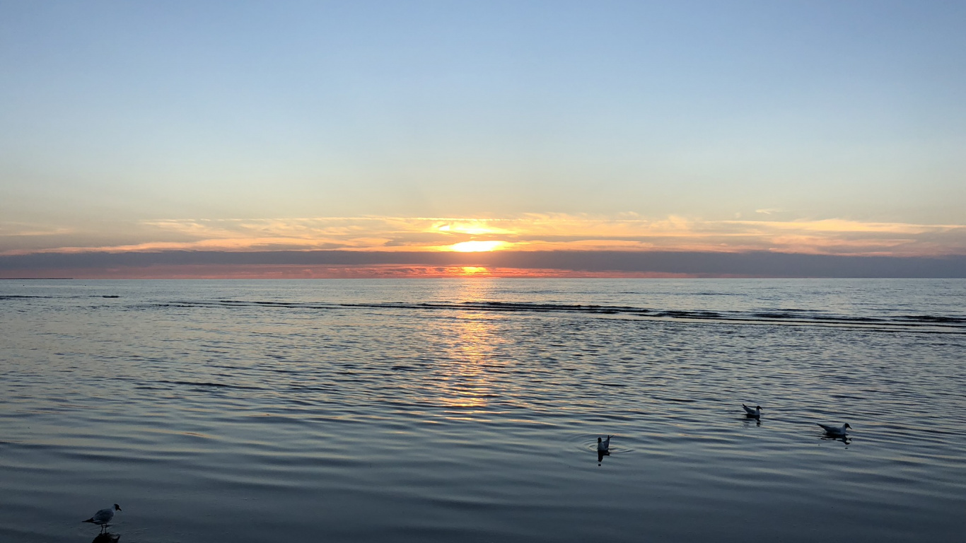 Обои горизонт, вода, восход солнца, водоем, жидкость в разрешении 1366x768