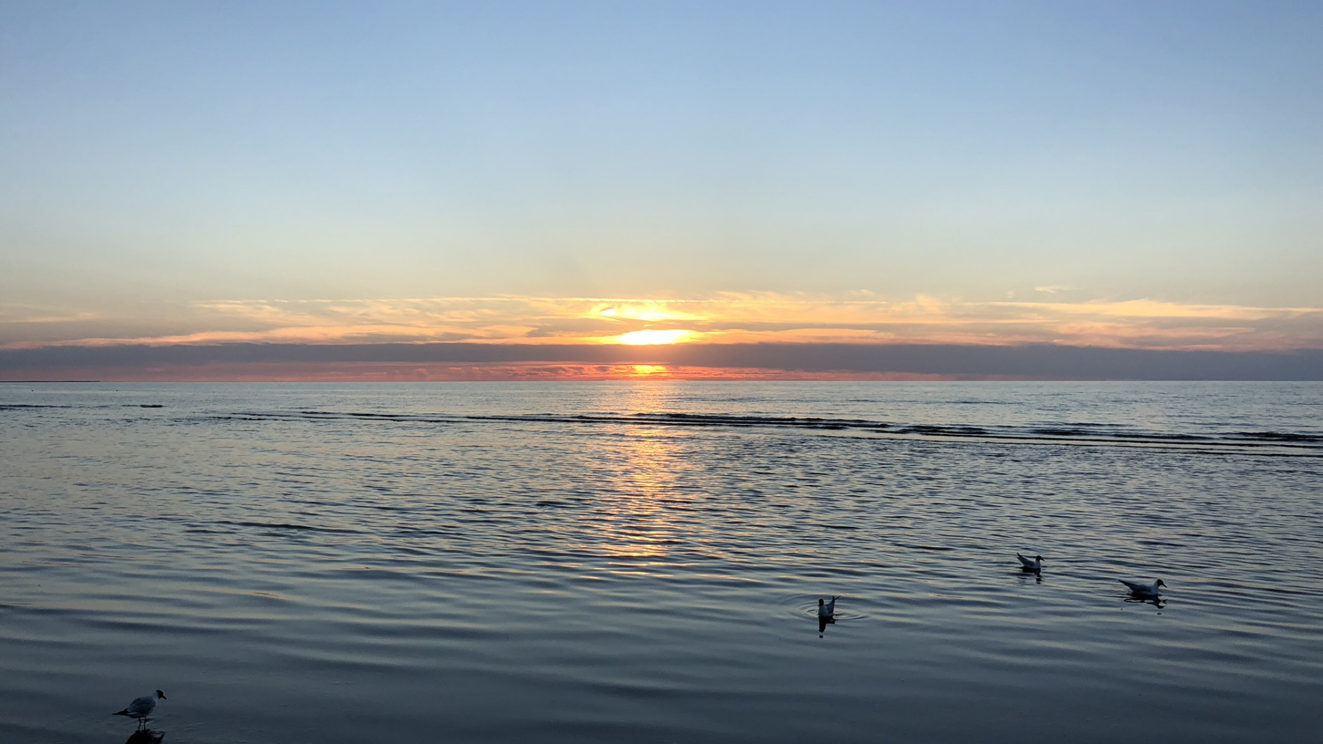 Обои горизонт, вода, восход солнца, водоем, жидкость в разрешении 1920x1080