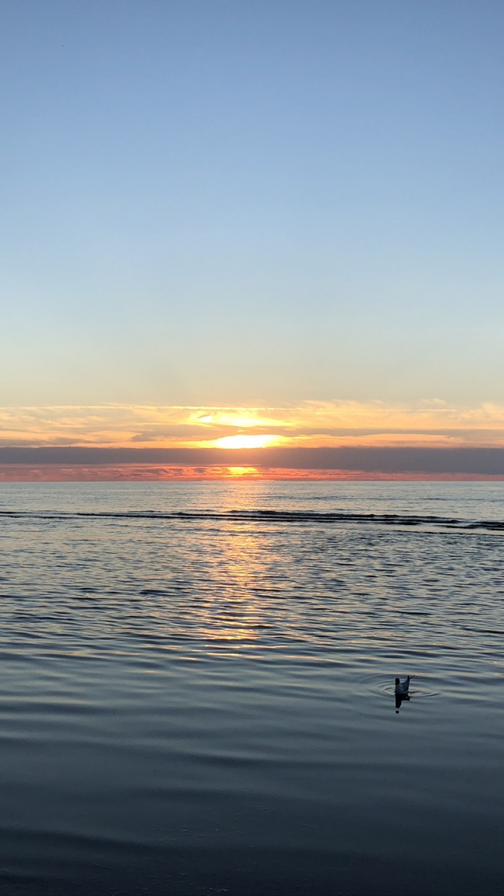 Обои горизонт, вода, восход солнца, водоем, жидкость в разрешении 720x1280