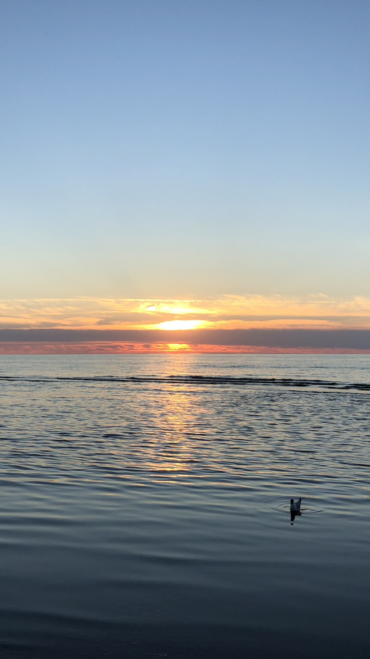 Обои горизонт, вода, восход солнца, водоем, жидкость в разрешении 750x1334