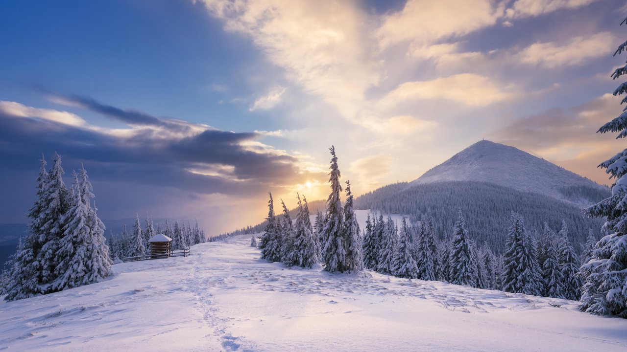 Обои снег, зима, облако, замораживание, дерево в разрешении 1280x720