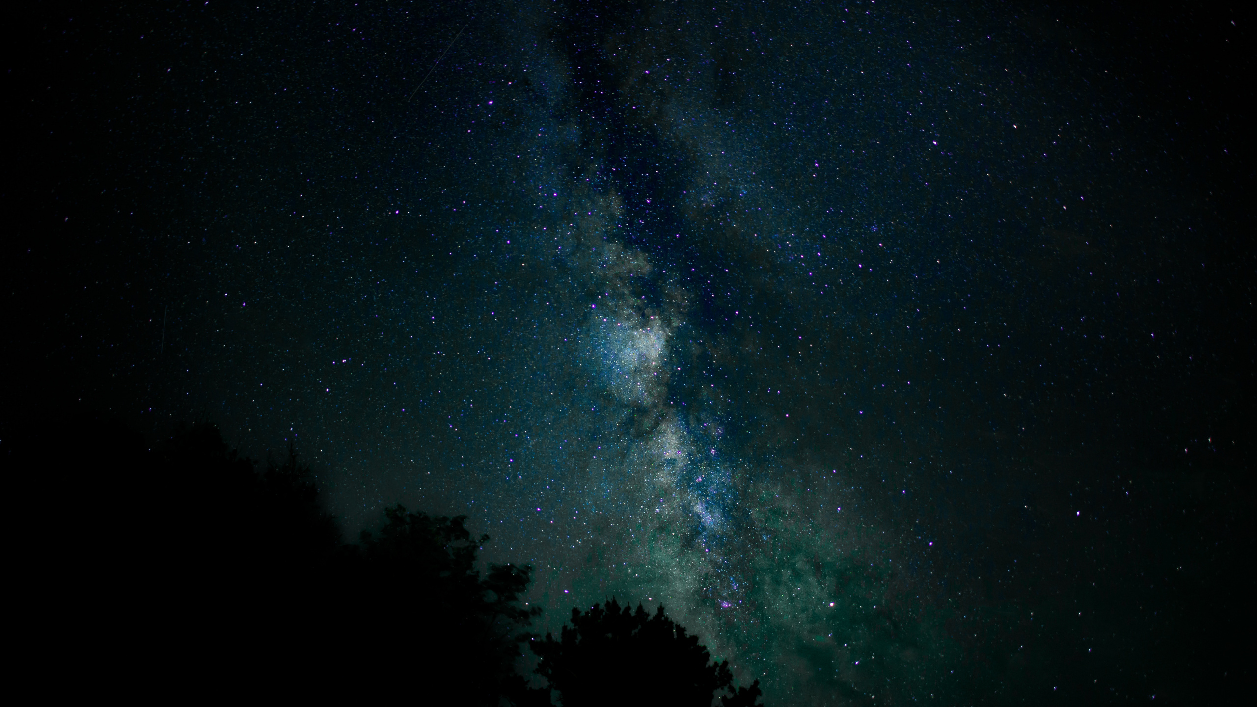 Обои Млечный Путь, звезда, Астрономия, астрономический объект, ночное небо в разрешении 2560x1440