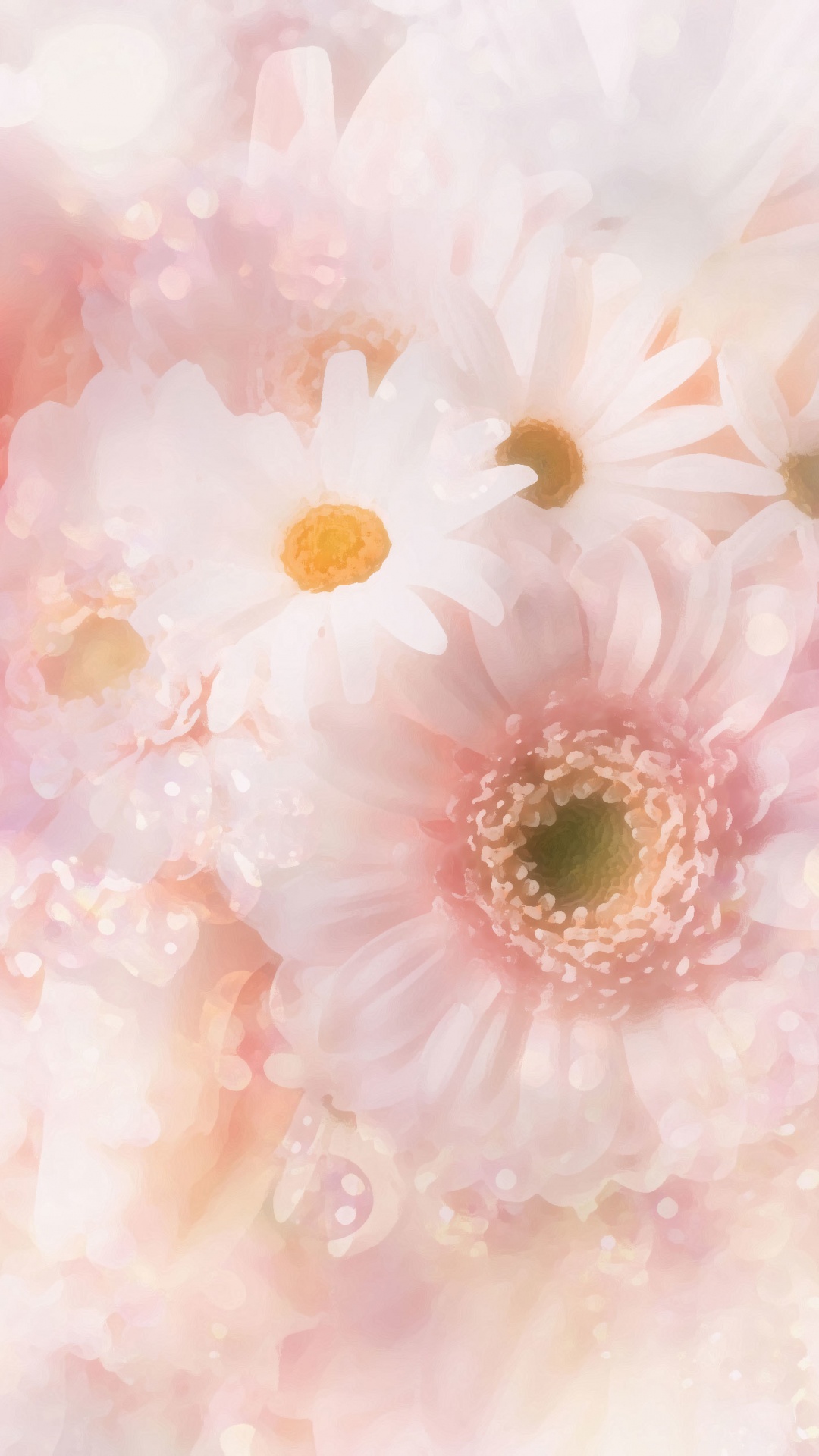 Обои цветок, общие Дейзи, розовый, лепесток, гербера в разрешении 1080x1920