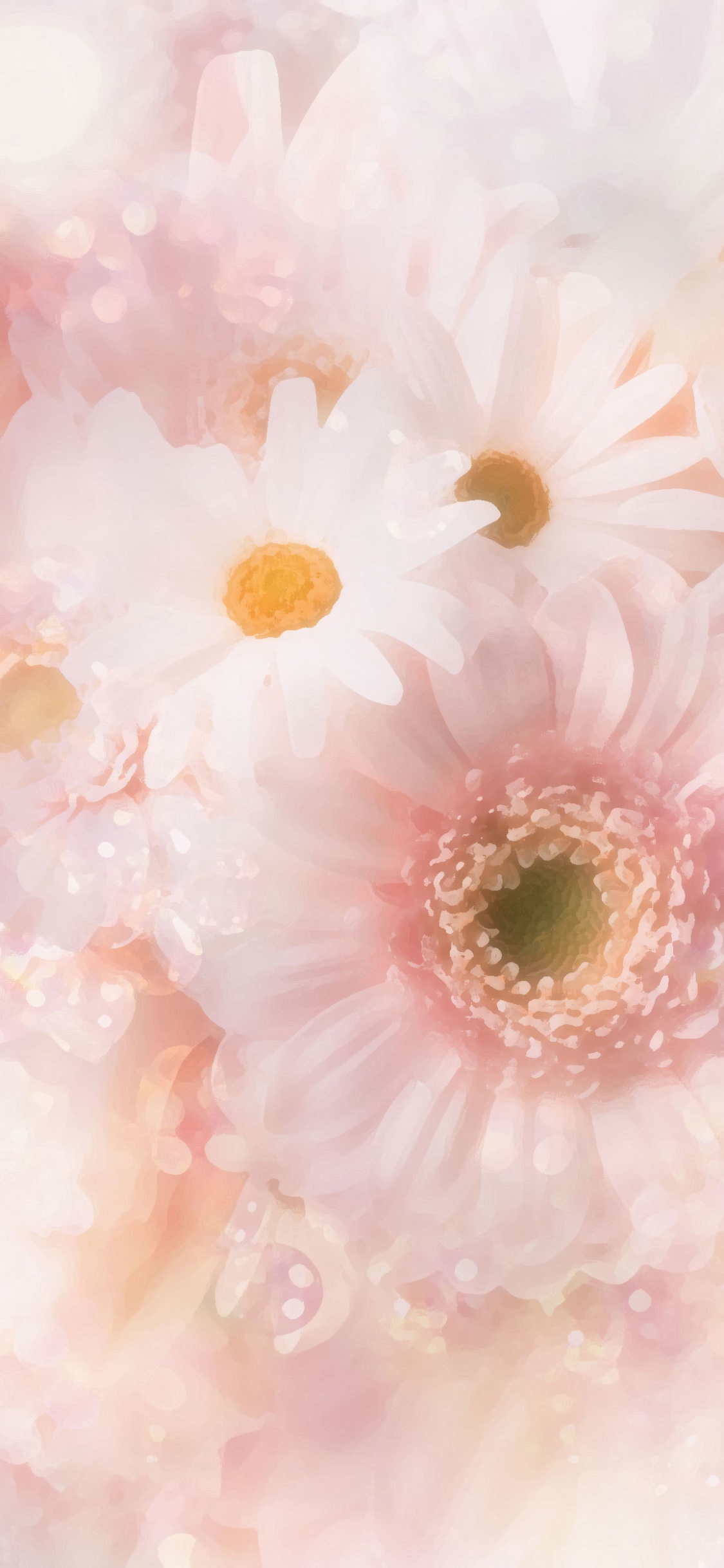 Обои цветок, общие Дейзи, розовый, лепесток, гербера в разрешении 1125x2436