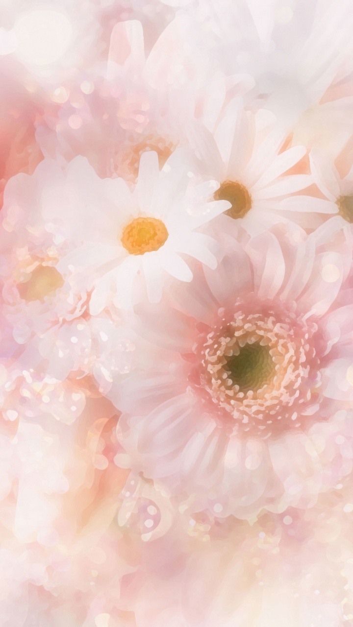 Обои цветок, общие Дейзи, розовый, лепесток, гербера в разрешении 720x1280