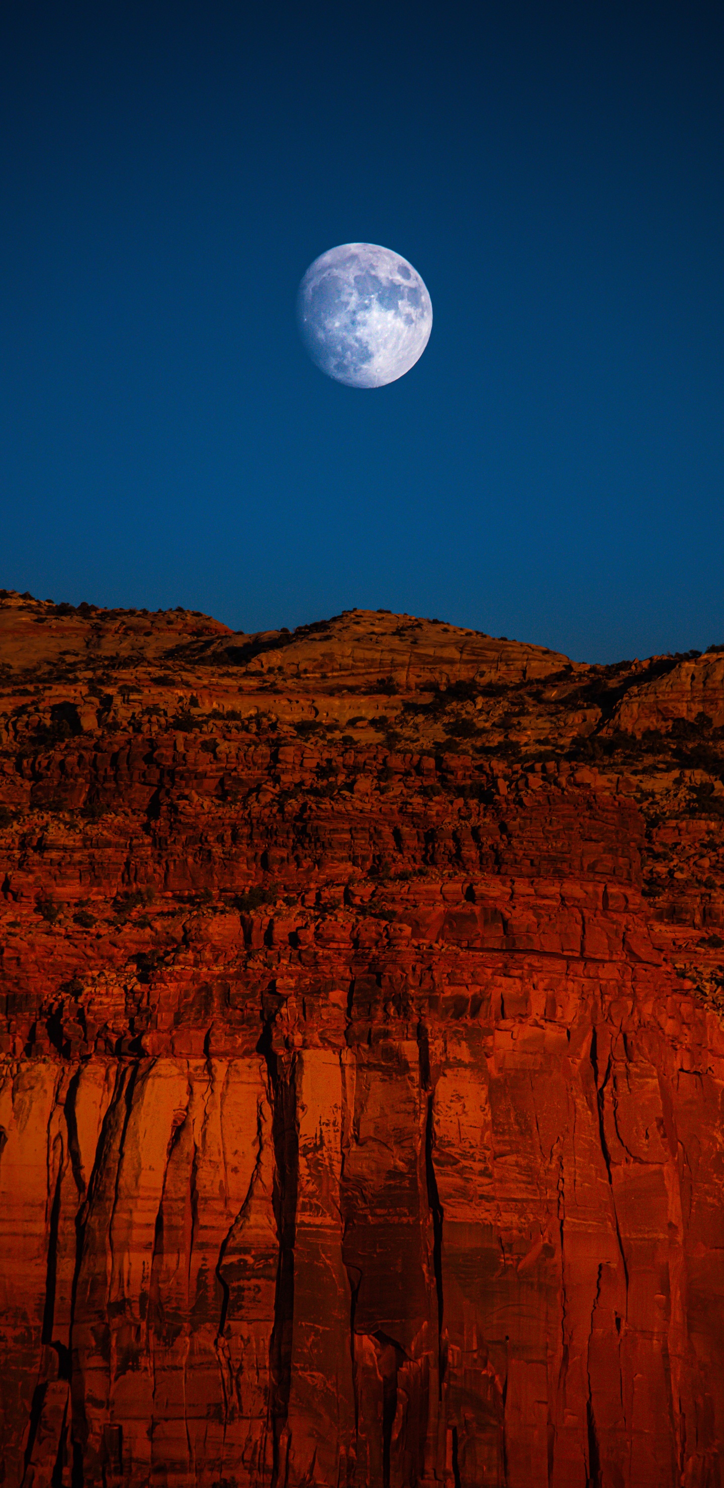 Обои луна, природа, небесное явление, свет, окружающая среда в разрешении 1440x2960