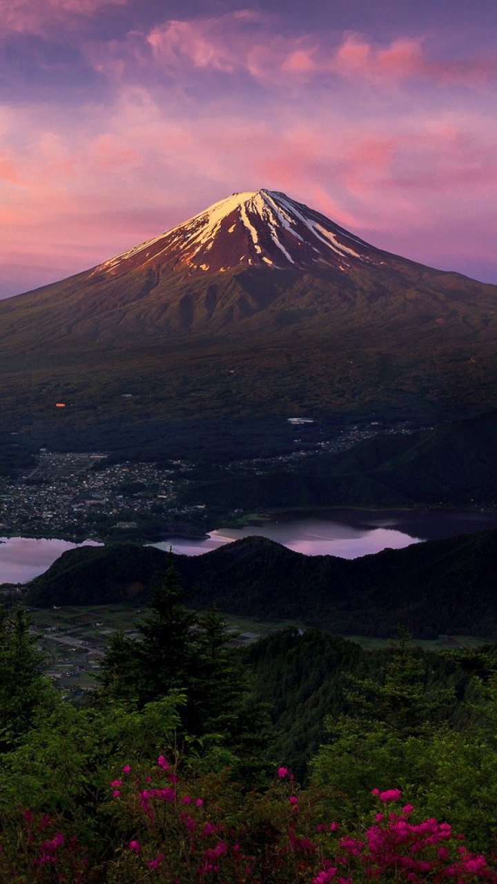 Обои гора Фудзи, гора, японский сад, природа, нагорье в разрешении 720x1280