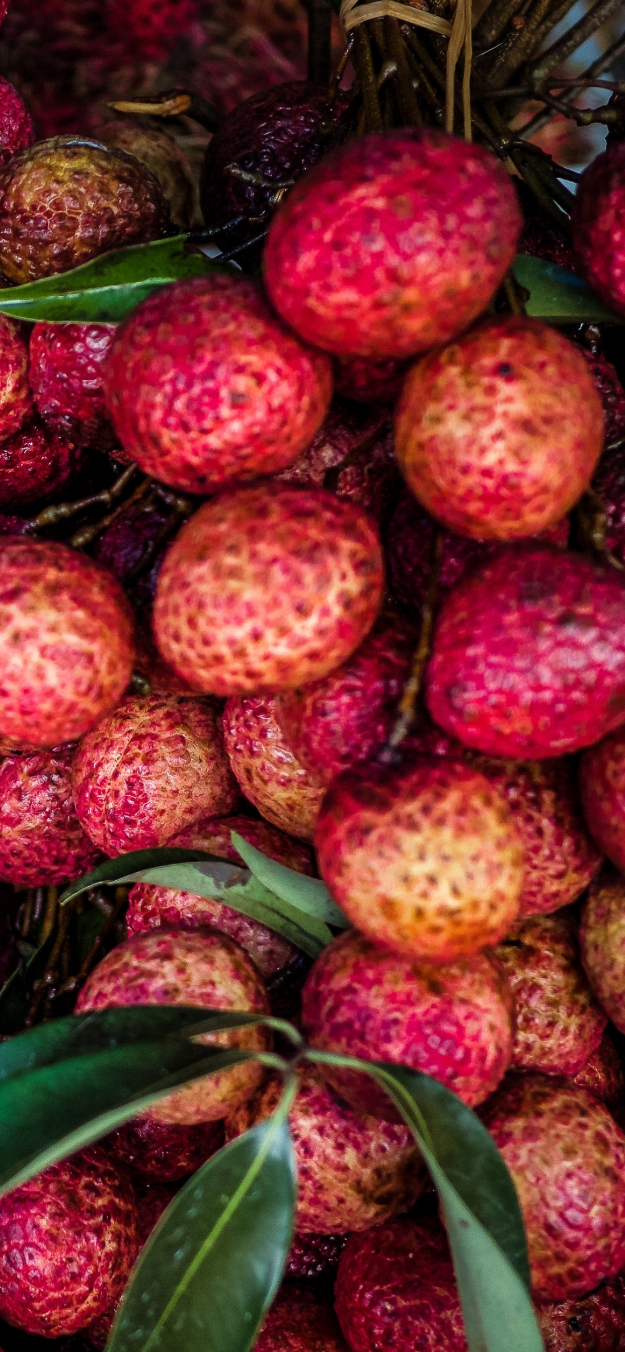 Обои фрукты, природные продукты, пища, клубника, овощ в разрешении 1242x2688