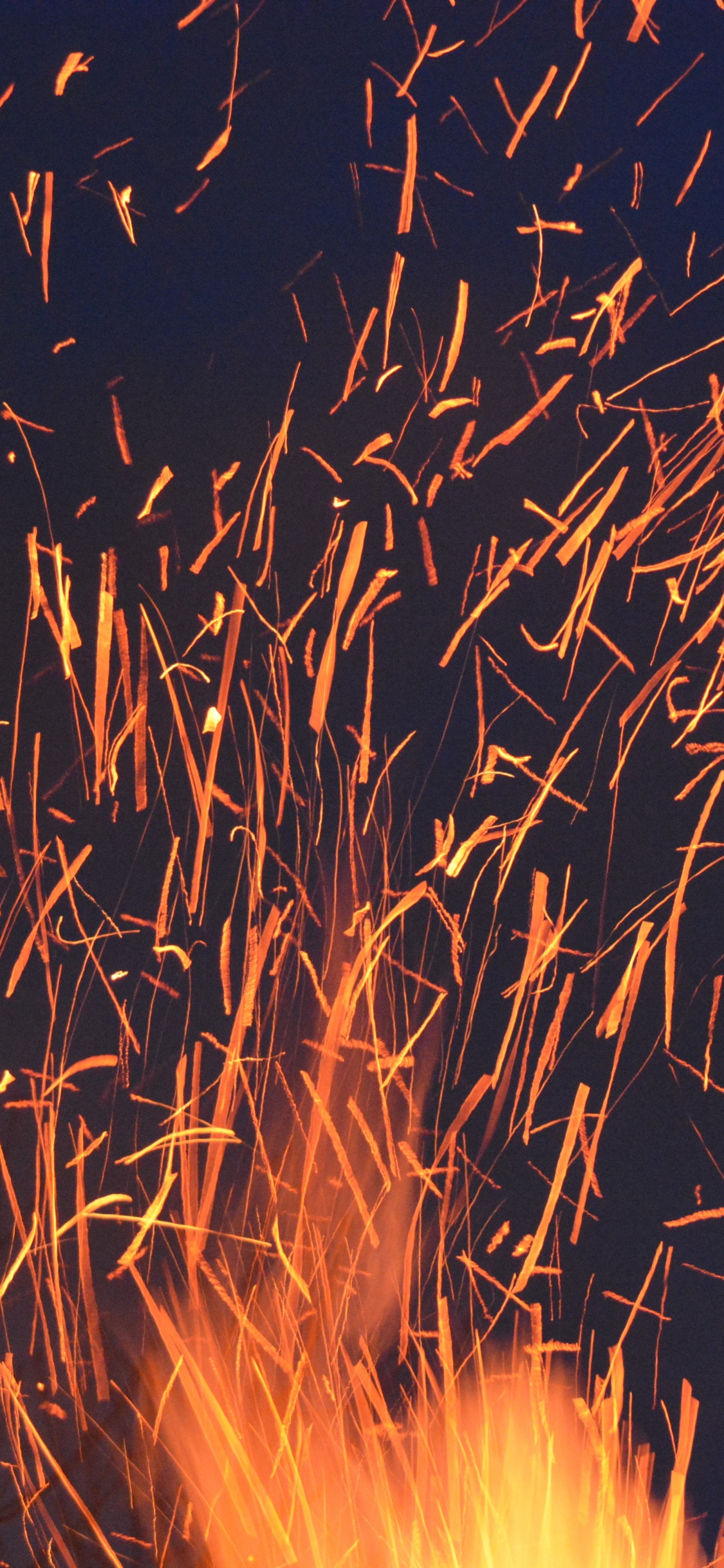 Обои огонь, салют, событие, канун Нового года, трава в разрешении 1125x2436