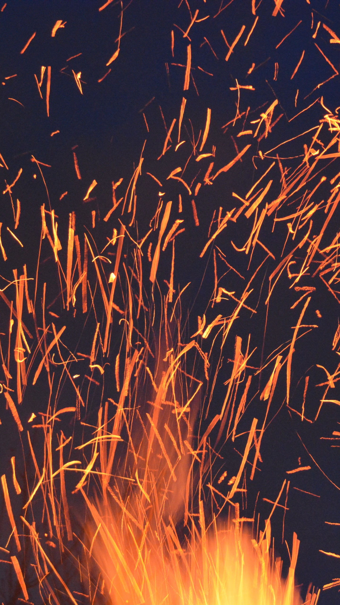 Обои огонь, салют, событие, канун Нового года, трава в разрешении 1440x2560