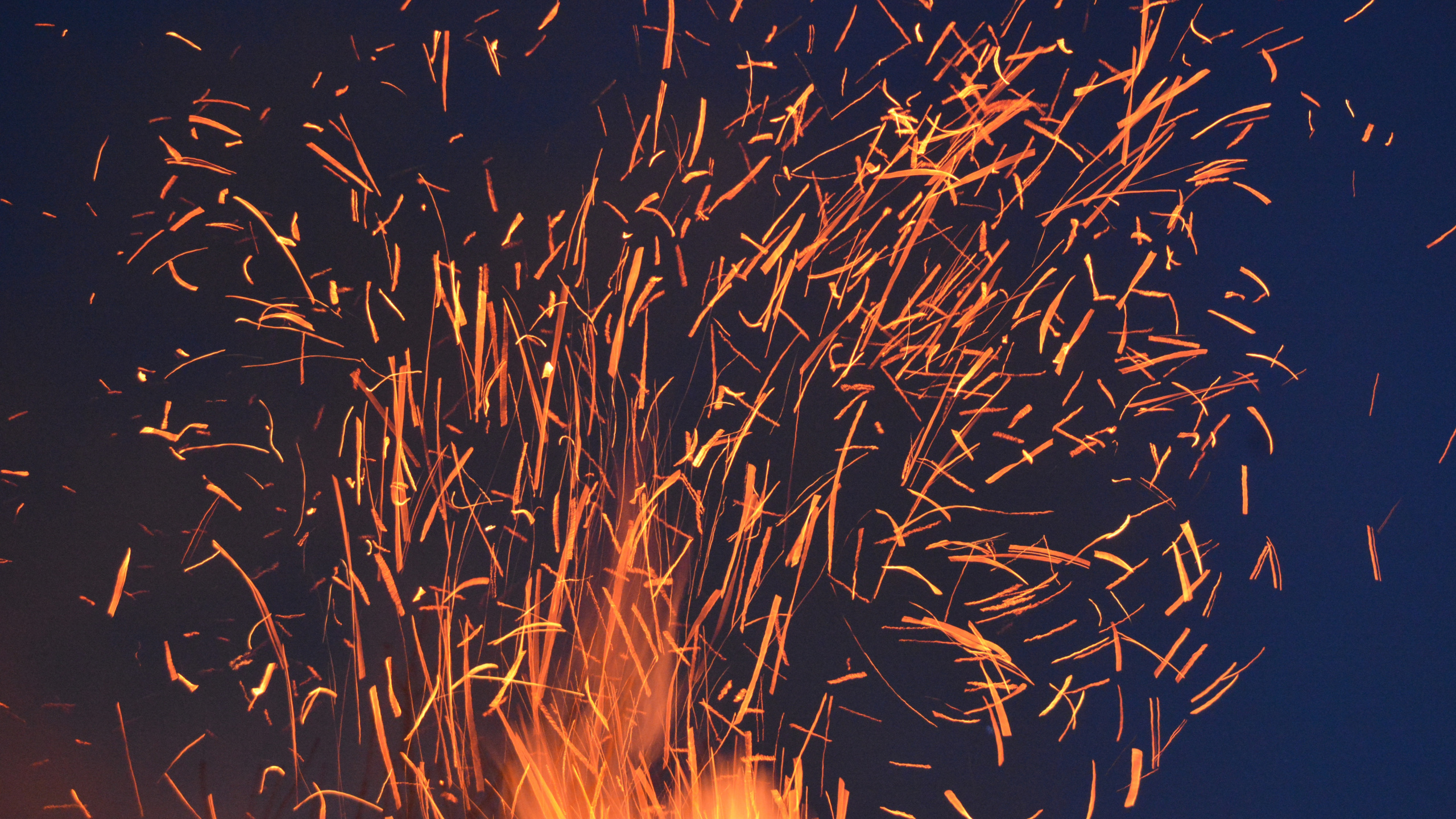 Обои огонь, салют, событие, канун Нового года, трава в разрешении 2560x1440