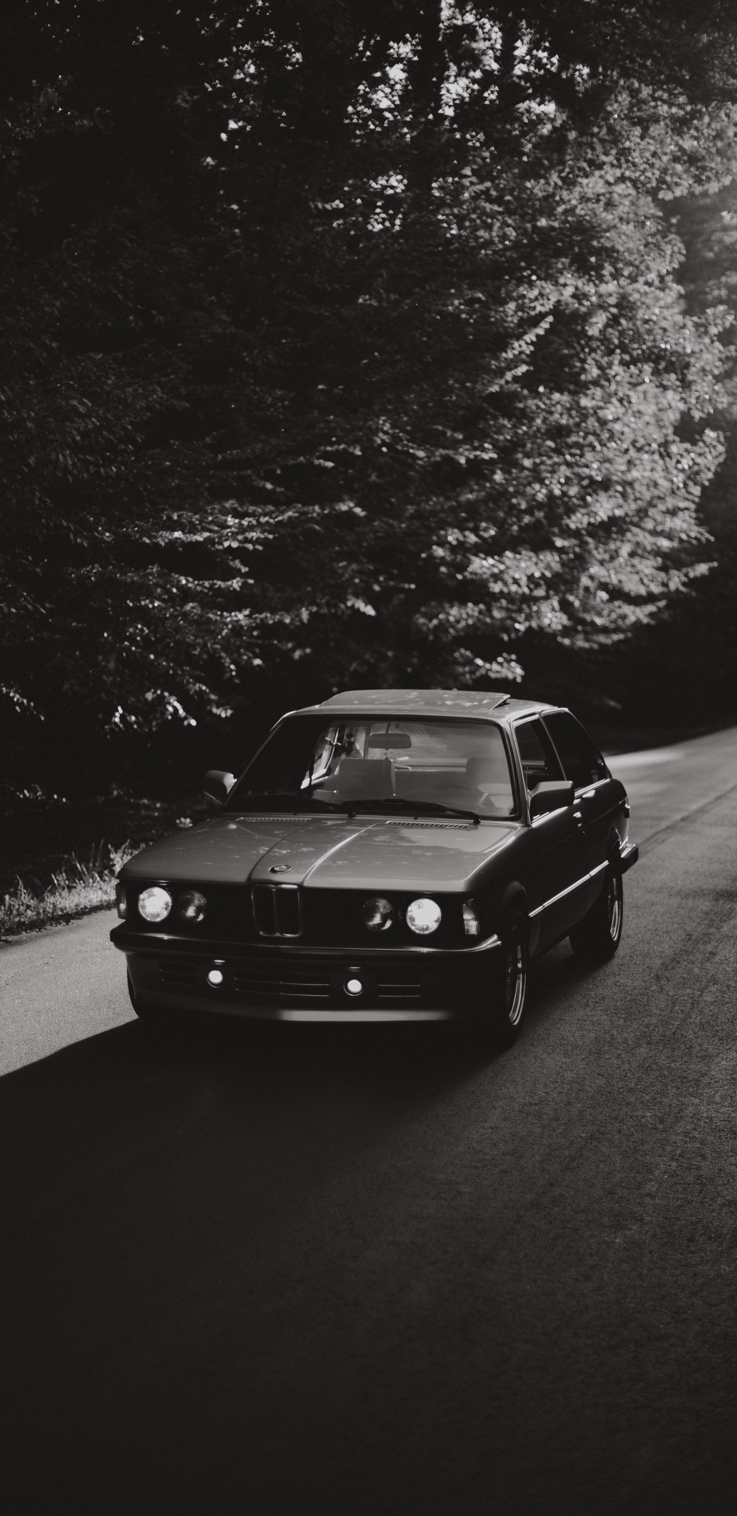 Обои авто, спорткар, bmw 3 серии, bmw, монохромный в разрешении 1440x2960