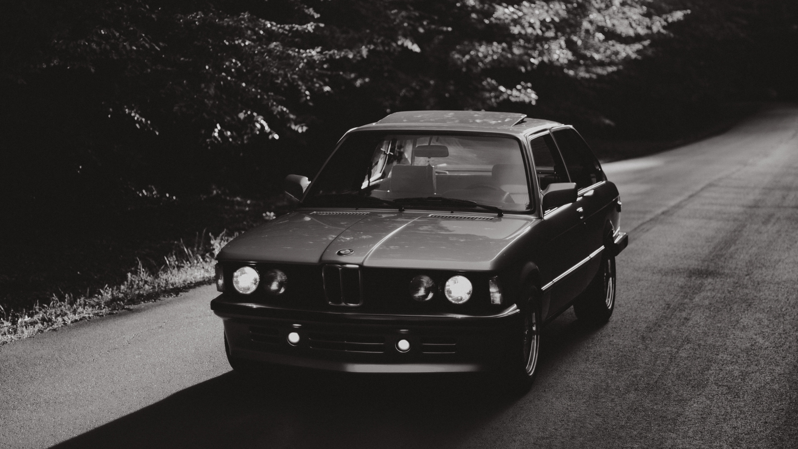 Обои авто, спорткар, bmw 3 серии, bmw, монохромный в разрешении 2560x1440