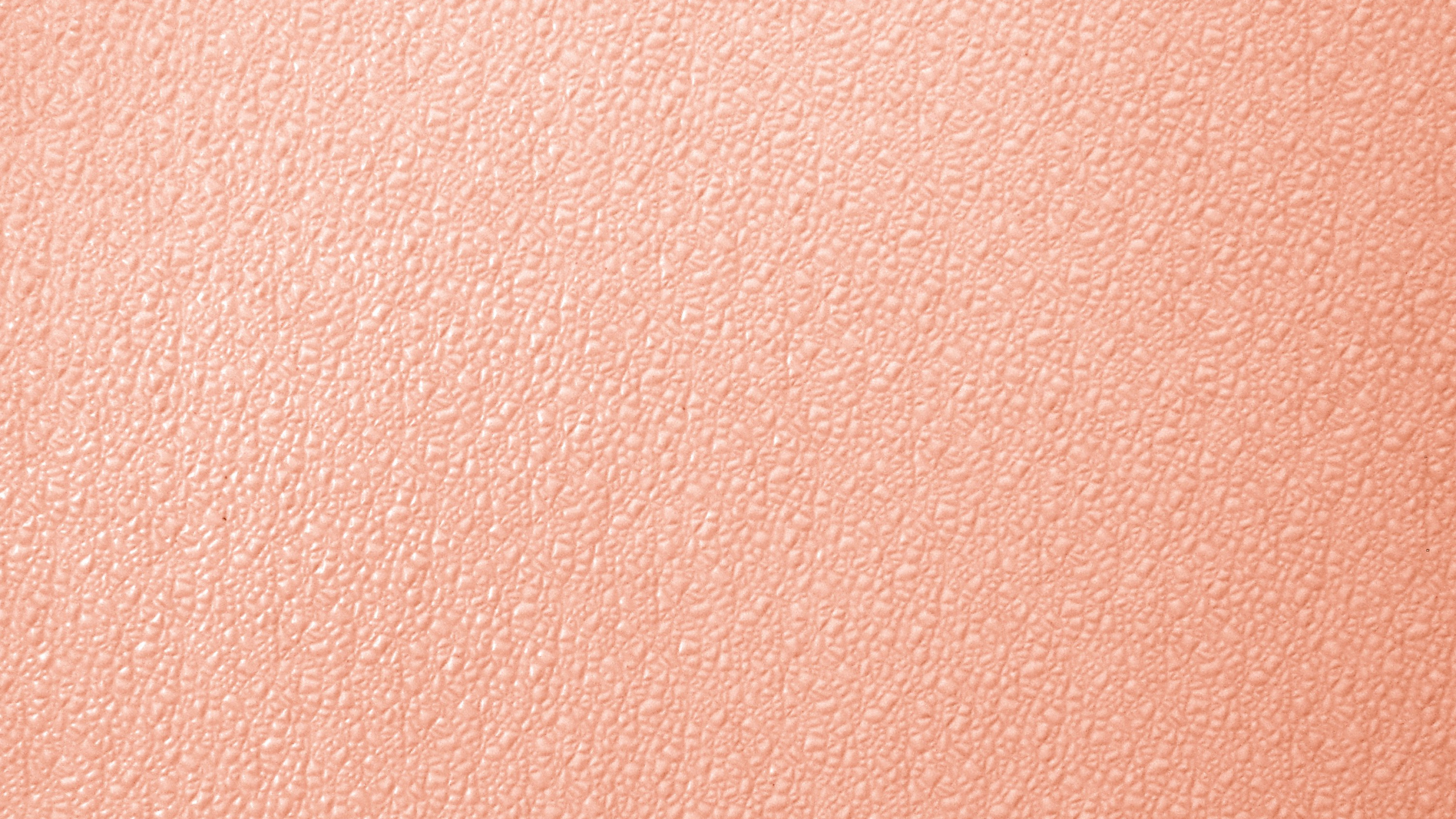 Обои персик, цвет, розовый, цвет беж, Цвет лосось в разрешении 2560x1440