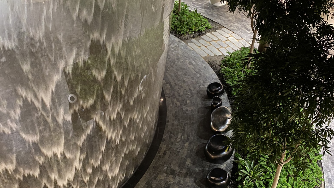 Обои дерево, вода, сад, тень, натуральный материал в разрешении 1280x720