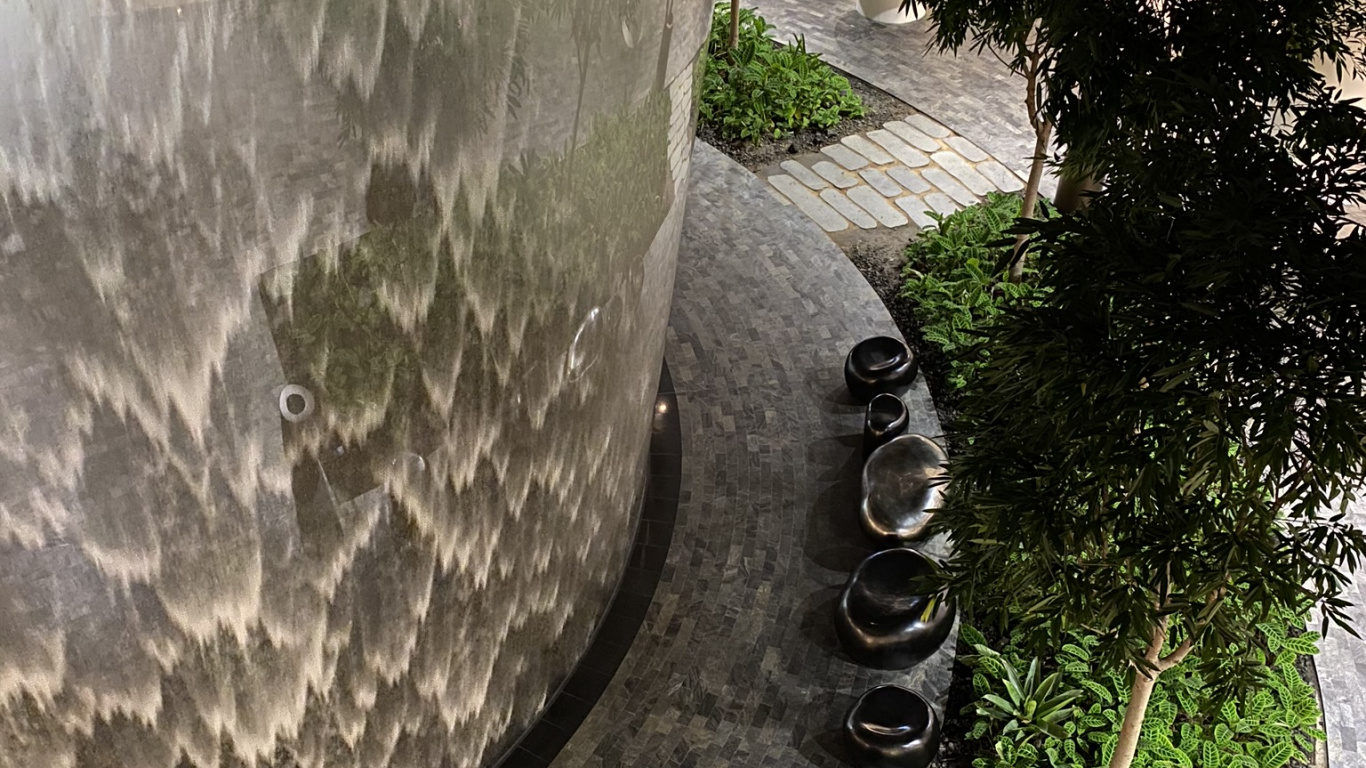 Обои дерево, вода, сад, тень, натуральный материал в разрешении 1366x768