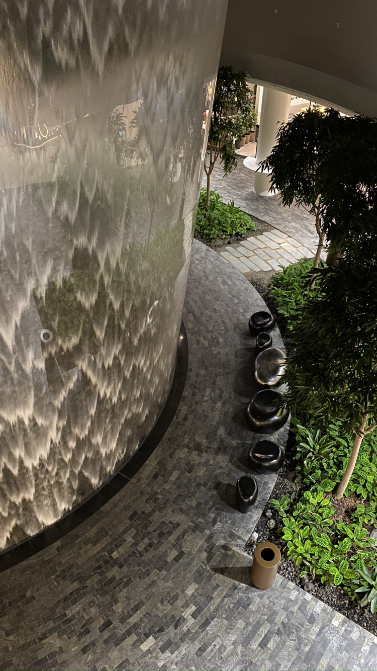 Обои дерево, вода, сад, тень, натуральный материал в разрешении 750x1334