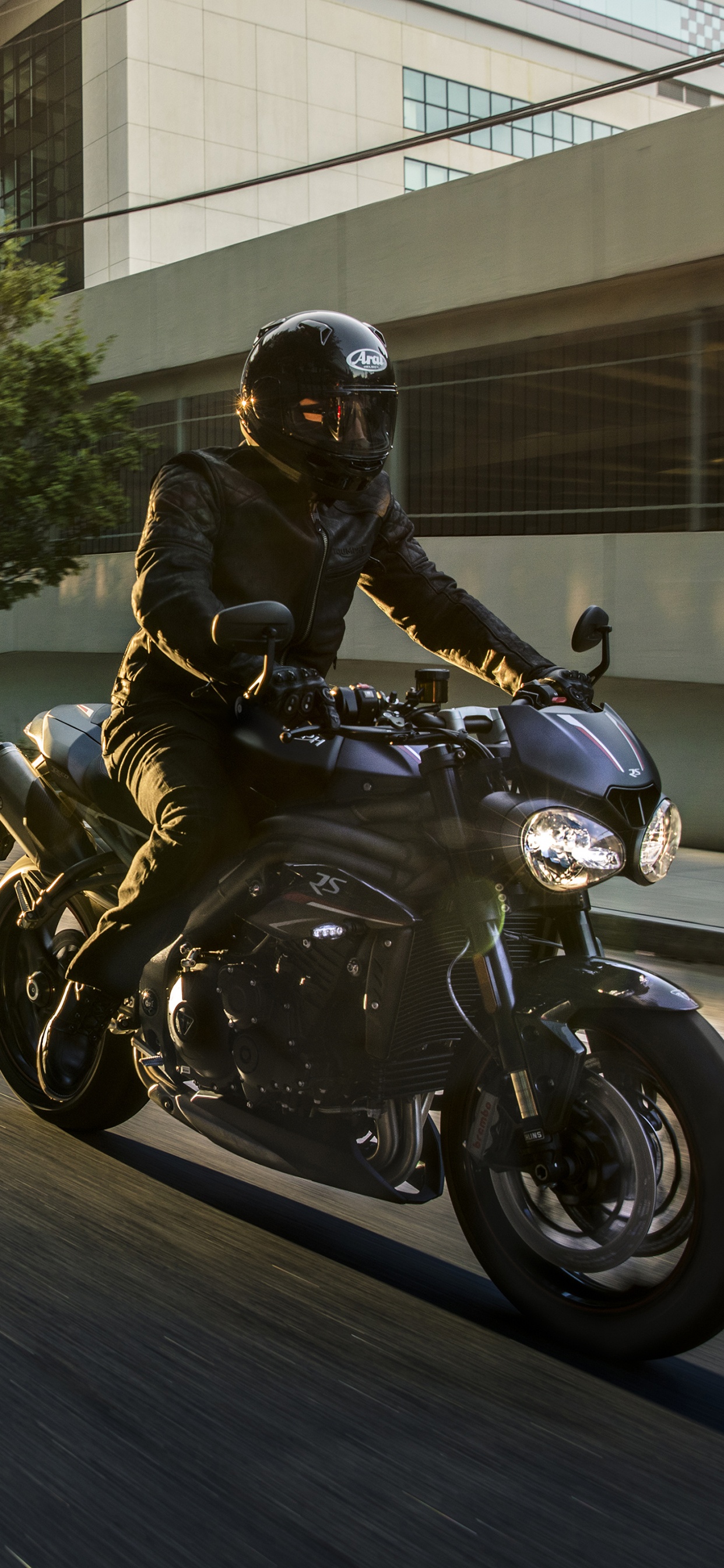 Обои Мотоциклы Triumph, мотоцикл, мотоспорт, авто, крейсер в разрешении 1242x2688