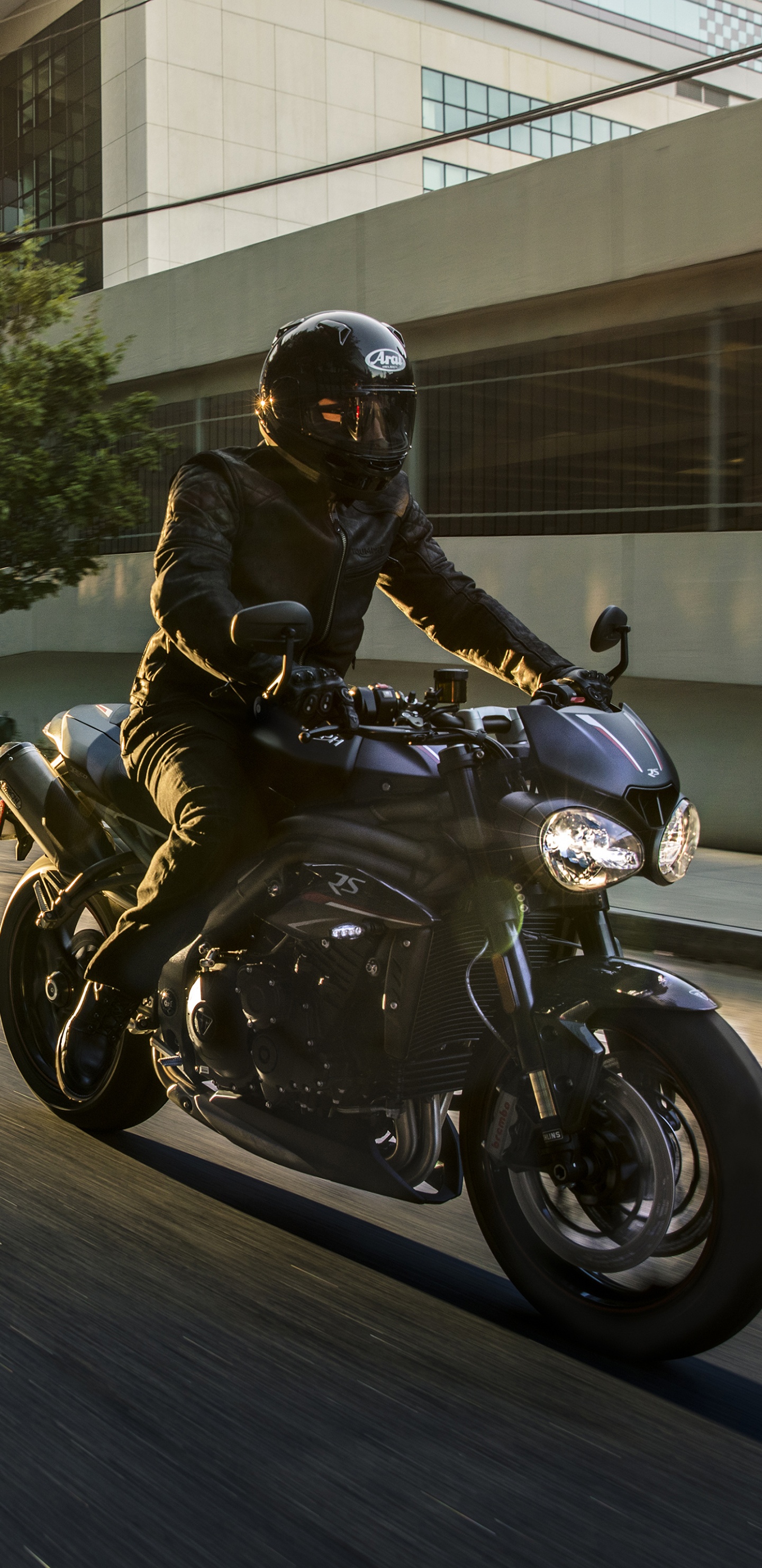 Обои Мотоциклы Triumph, мотоцикл, мотоспорт, авто, крейсер в разрешении 1440x2960