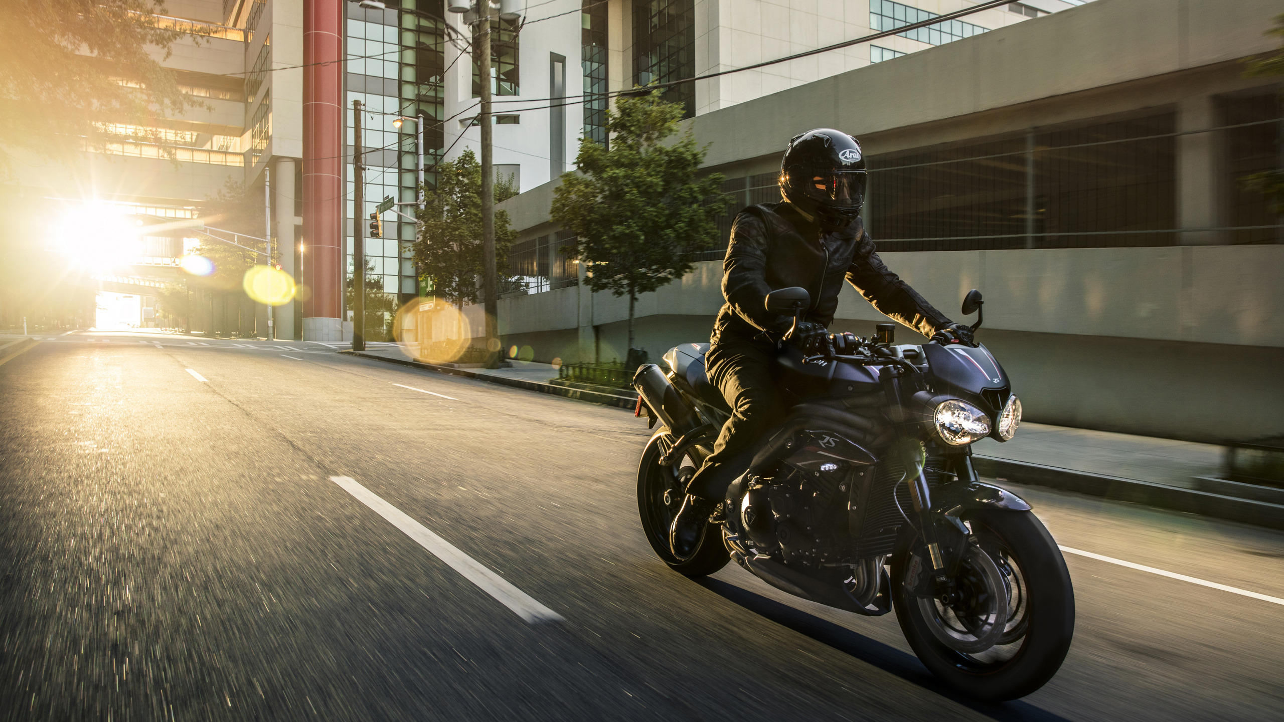 Обои Мотоциклы Triumph, мотоцикл, мотоспорт, авто, крейсер в разрешении 2560x1440