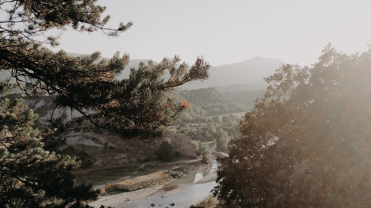 Обои дерево, утро, ветвь, вода, туман в разрешении 1280x720