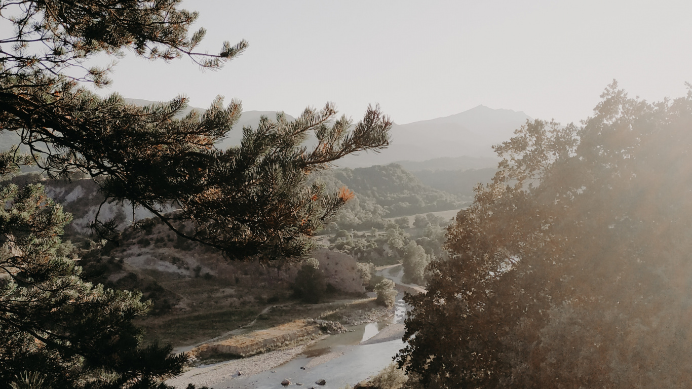 Обои дерево, утро, ветвь, вода, туман в разрешении 1366x768