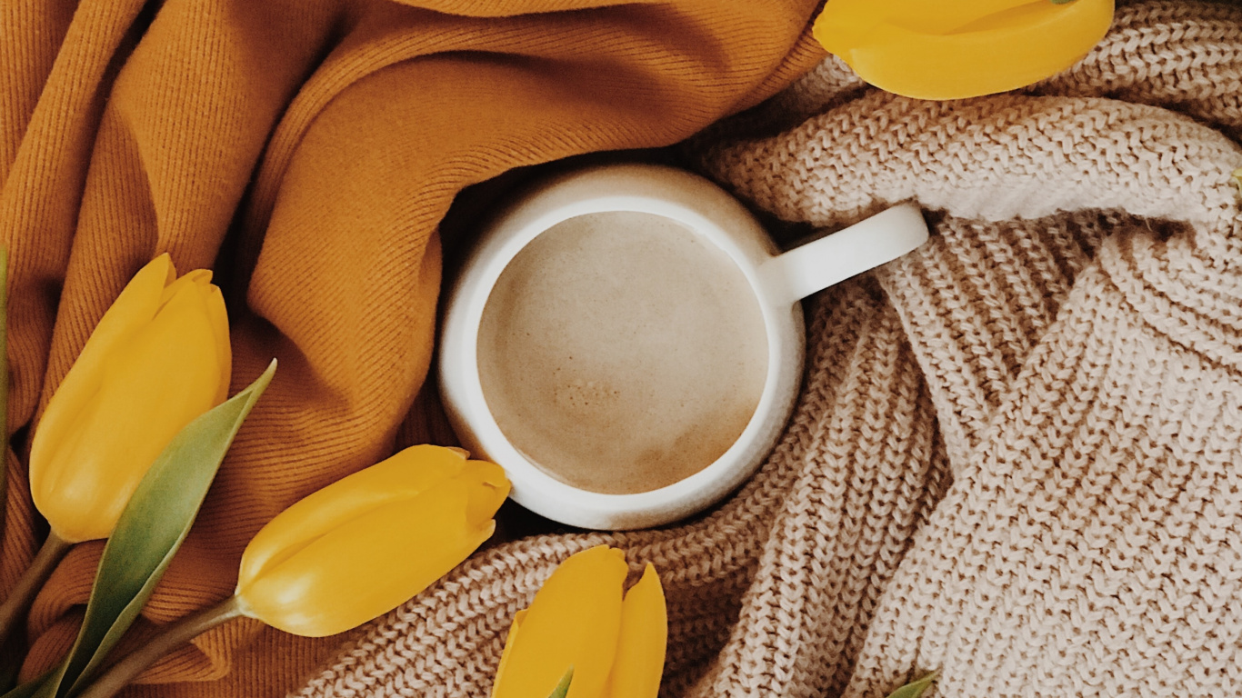 Обои желтый, цветок, растение, весна, натюрморт в разрешении 1366x768