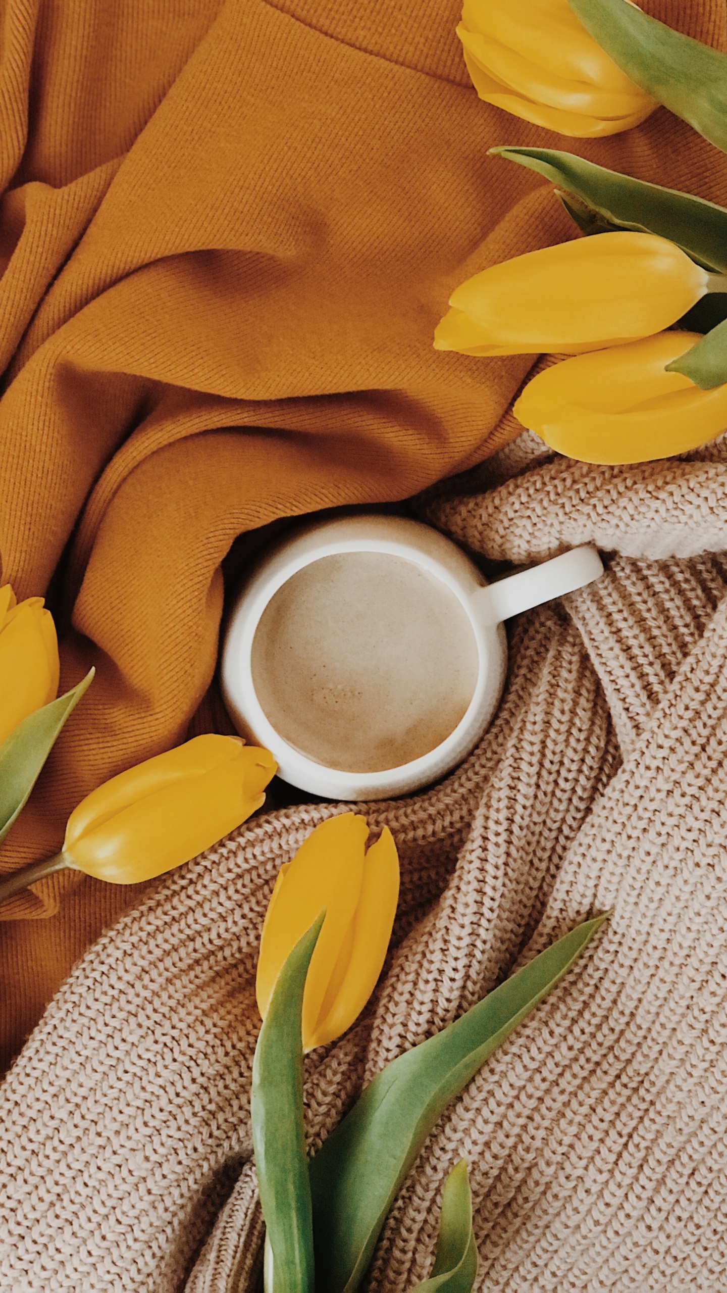 Обои желтый, цветок, растение, весна, натюрморт в разрешении 1440x2560