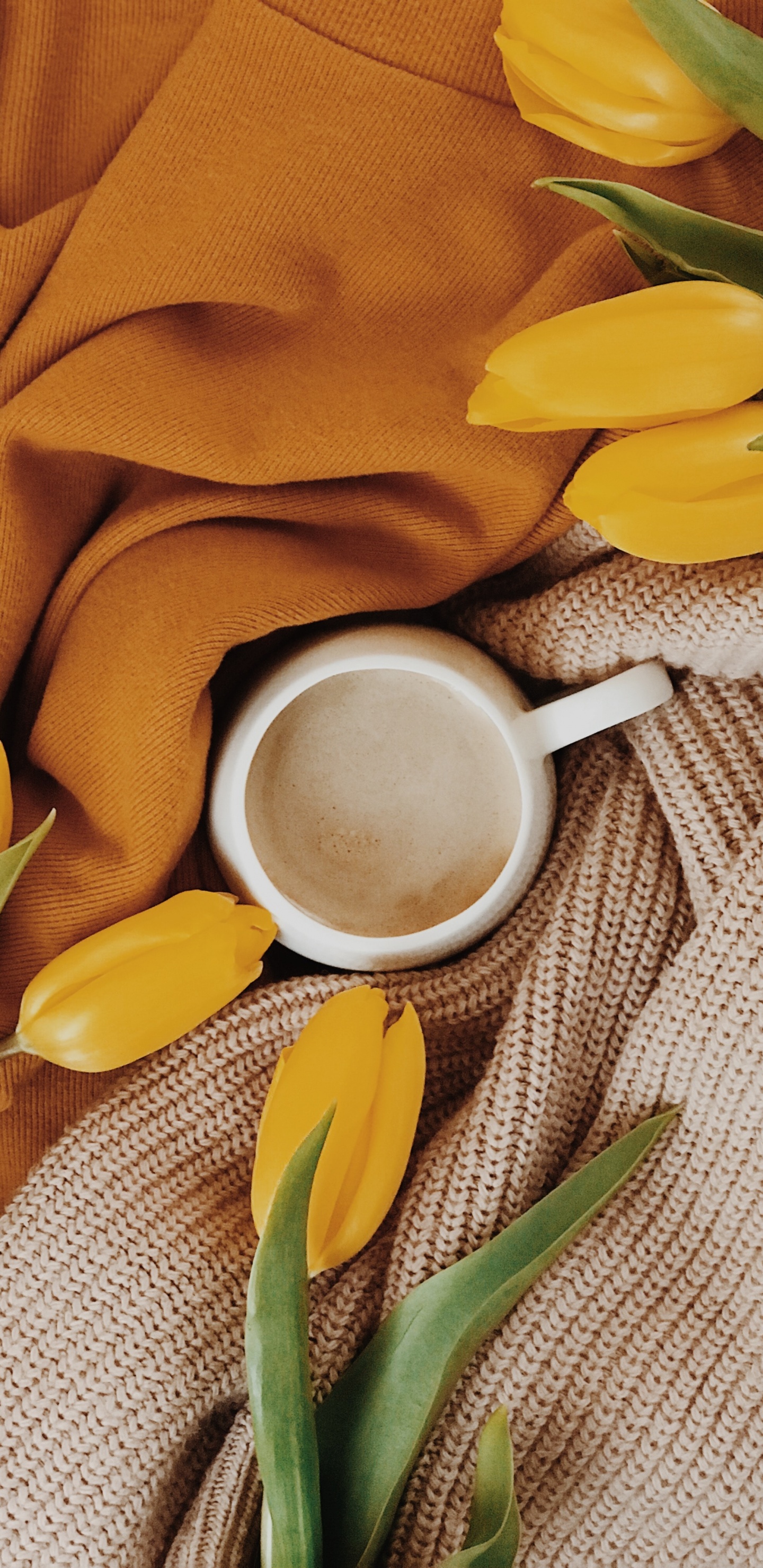 Обои желтый, цветок, растение, весна, натюрморт в разрешении 1440x2960