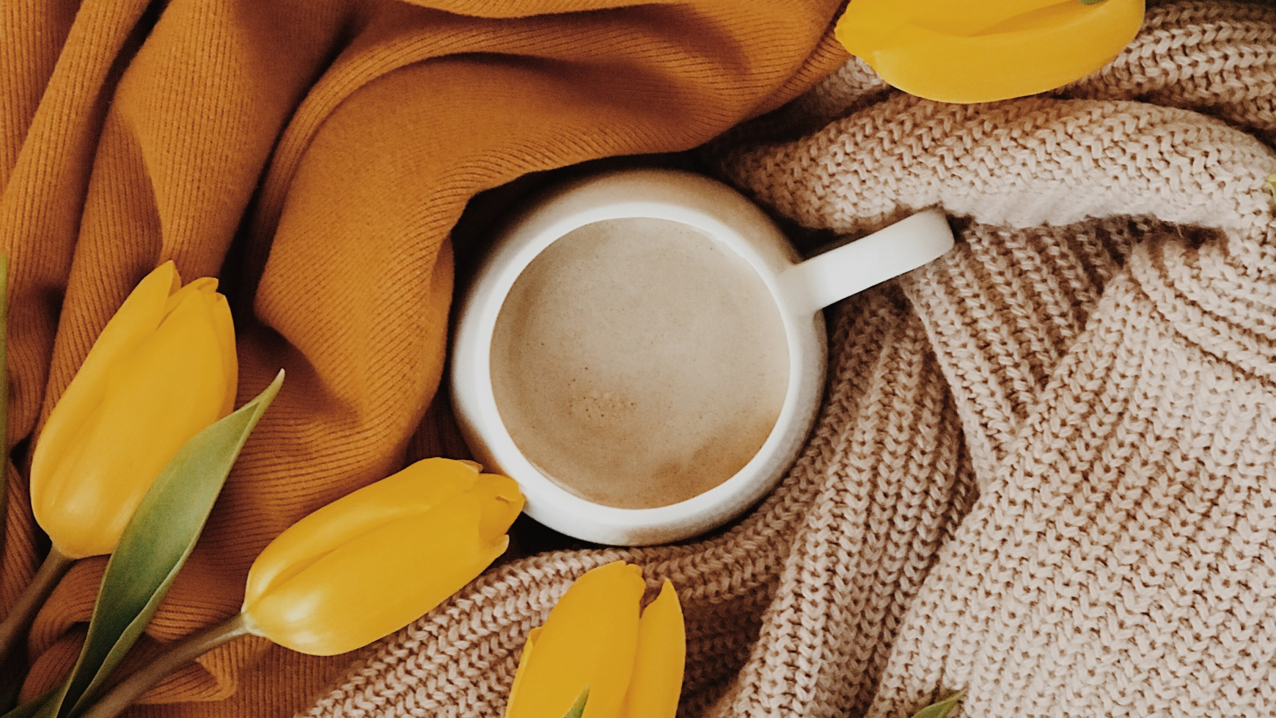 Обои желтый, цветок, растение, весна, натюрморт в разрешении 2560x1440