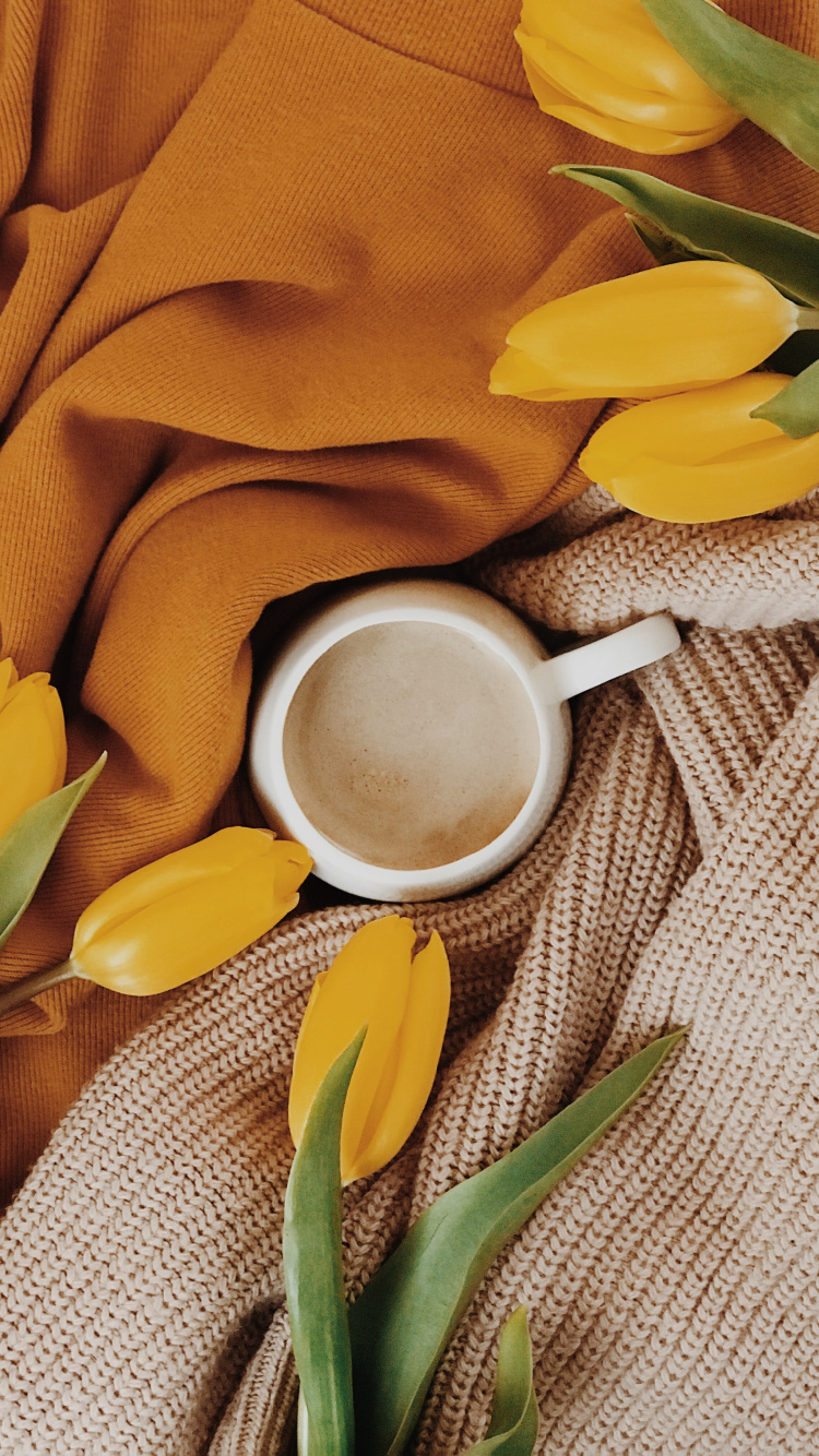 Обои желтый, цветок, растение, весна, натюрморт в разрешении 750x1334