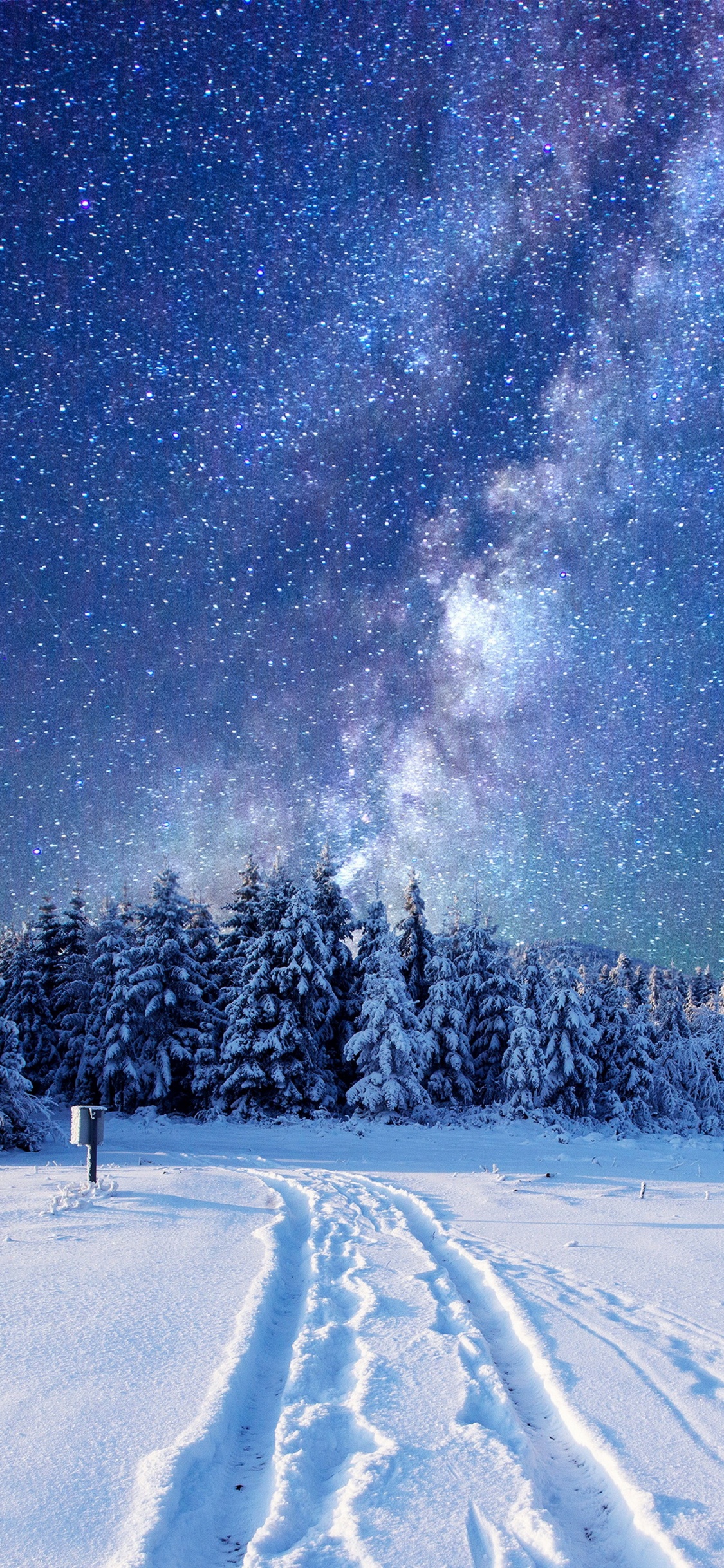 Обои ночь, снег, зима, природа, дерево в разрешении 1125x2436