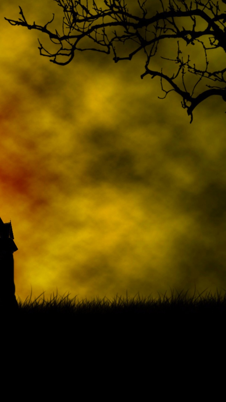 Обои желтый, дерево, облако, атмосфера, вечер в разрешении 720x1280