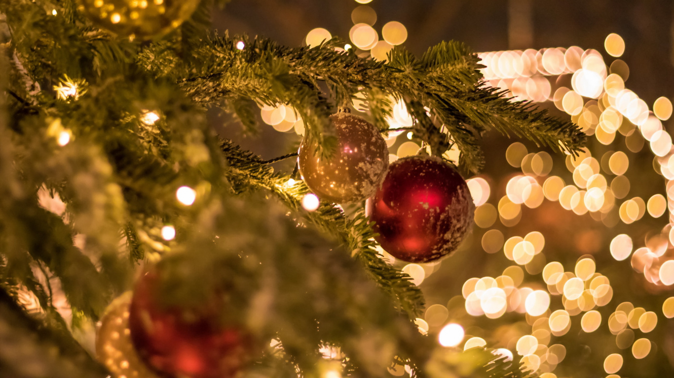 Обои елка, Рождественский день, праздник, Рождественские огни, рождественский орнамент в разрешении 1366x768