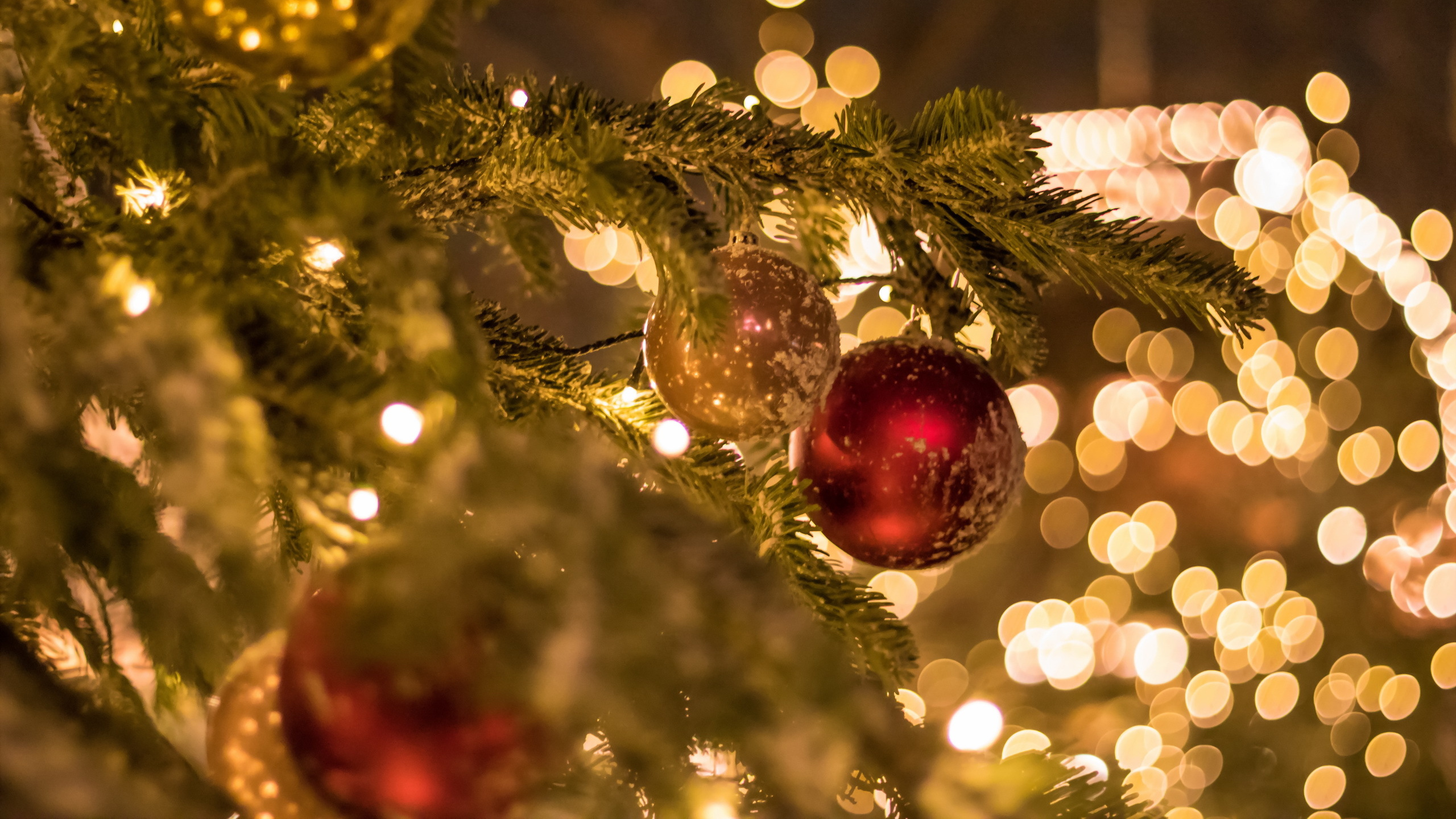 Обои елка, Рождественский день, праздник, Рождественские огни, рождественский орнамент в разрешении 2560x1440
