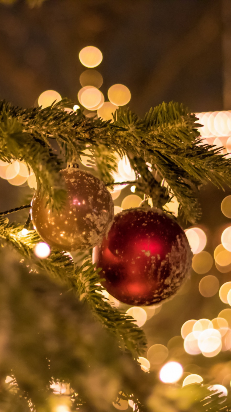 Обои елка, Рождественский день, праздник, Рождественские огни, рождественский орнамент в разрешении 750x1334