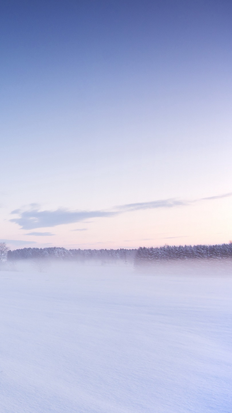 Обои снег, зима, замораживание, Арктика, атмосфера в разрешении 750x1334