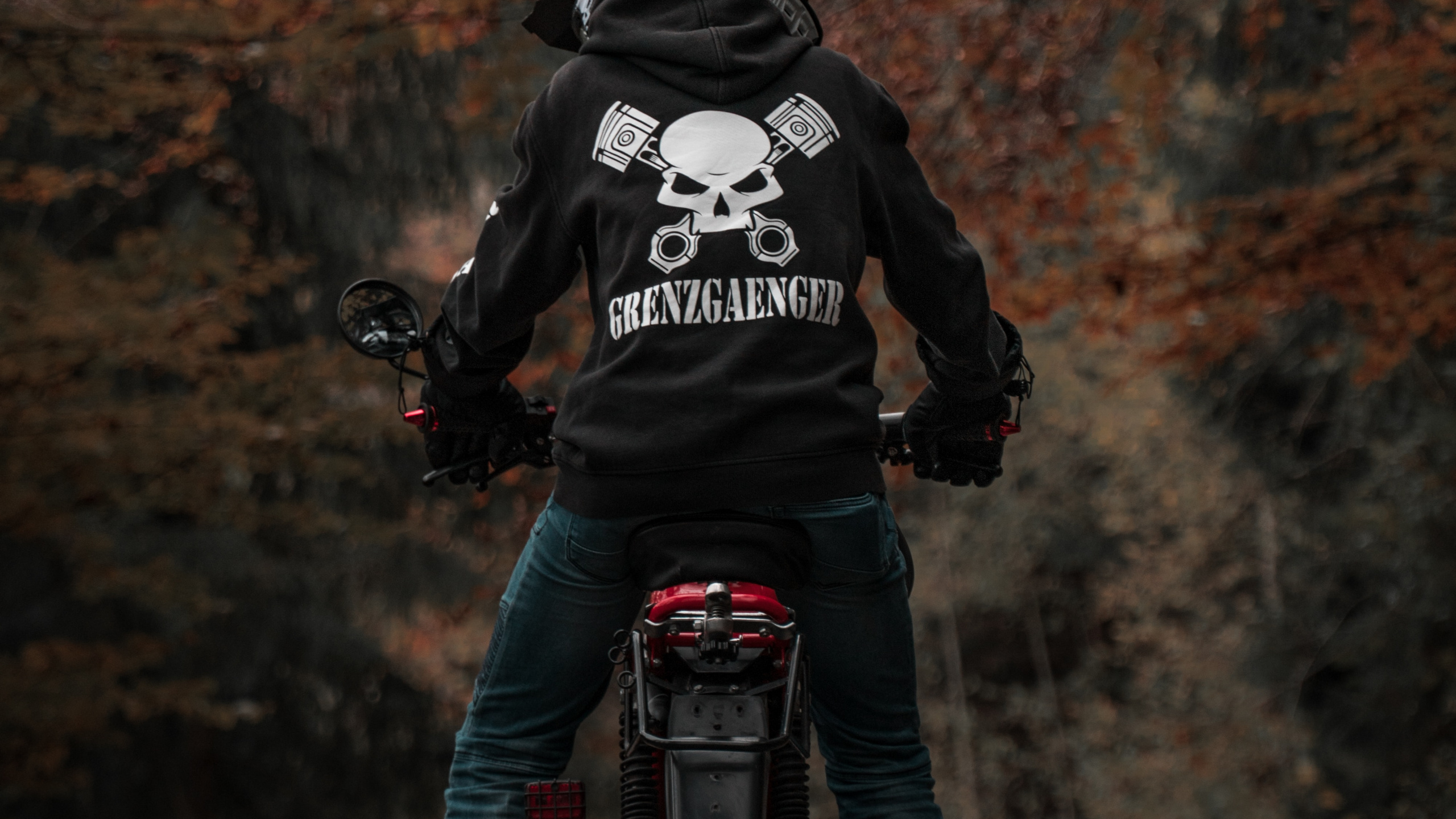 Обои отдых, почва, горный спуск на велосипедах, экстремальный вид спорта, горный велосипед в разрешении 2560x1440