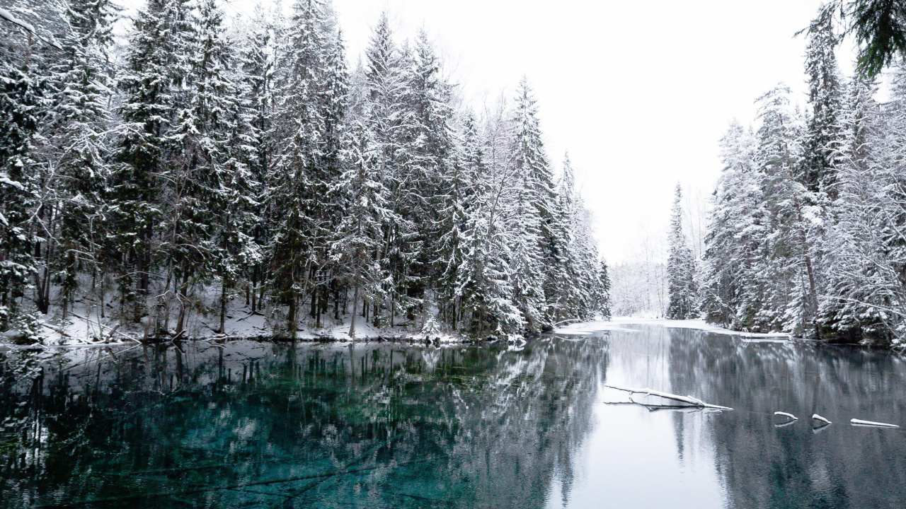 Обои зима, снег, Kiikunlhde, дерево, природа в разрешении 1280x720