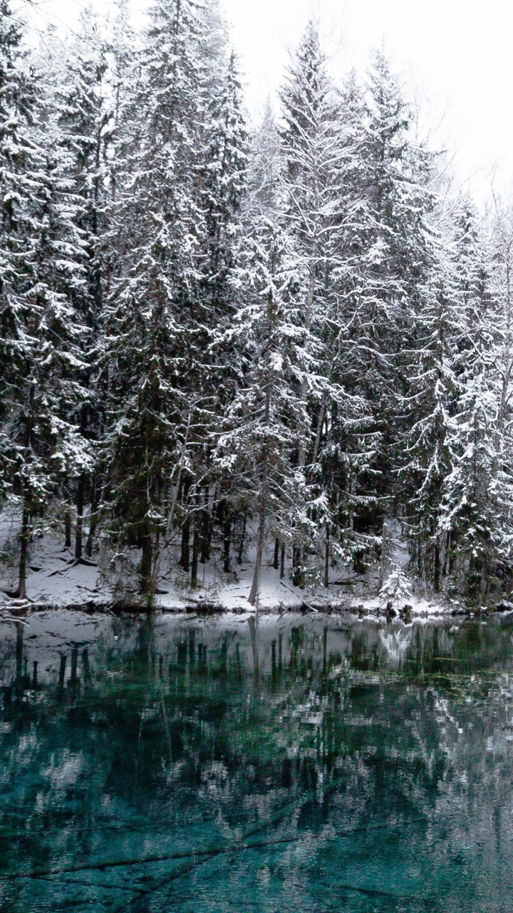 Обои зима, снег, Kiikunlhde, дерево, природа в разрешении 720x1280