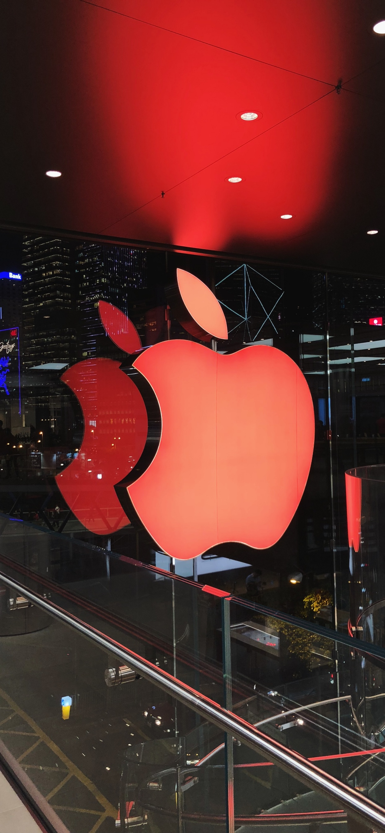 Обои apple, освещение, кармин, яблоко, фрукты в разрешении 1242x2688